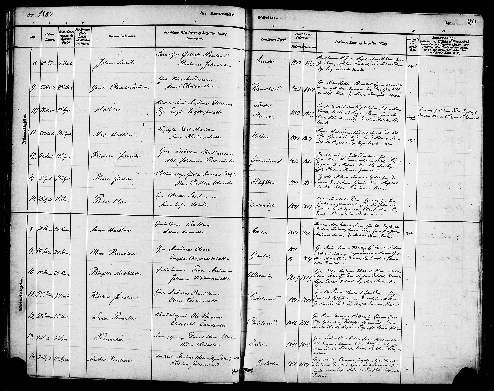 Førde sokneprestembete, AV/SAB-A-79901/H/Haa/Haab/L0001: Parish register (official) no. B 1, 1880-1898, p. 20