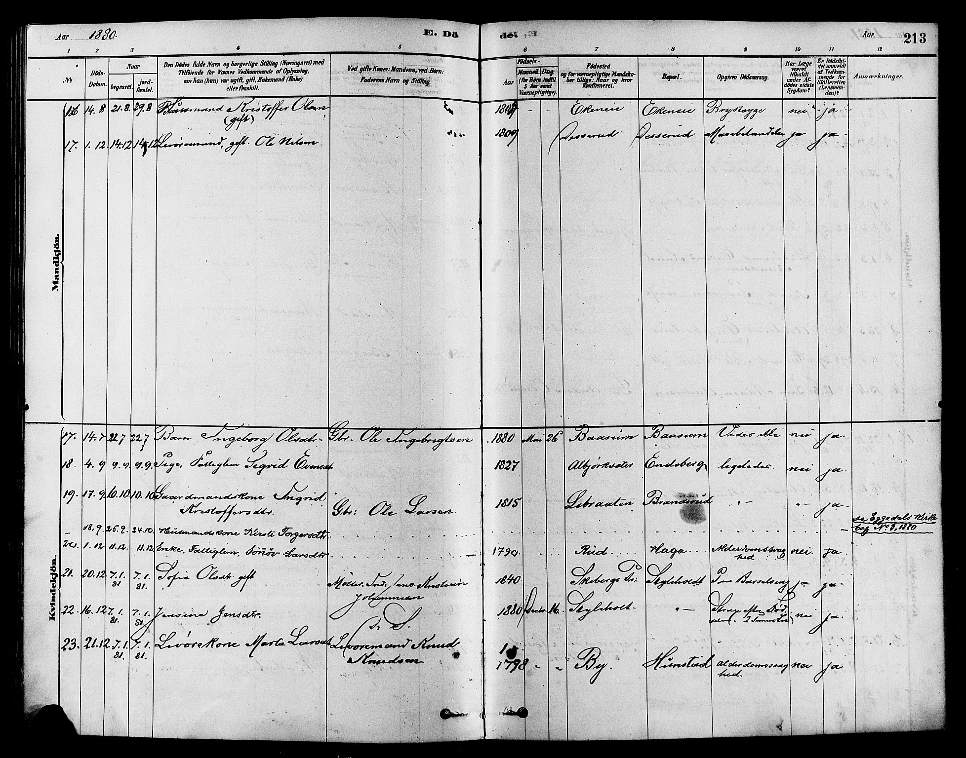 Sigdal kirkebøker, AV/SAKO-A-245/F/Fa/L0011: Parish register (official) no. I 11, 1879-1887, p. 213