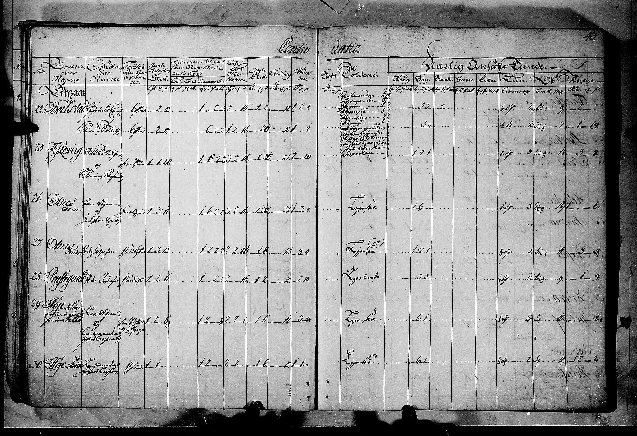 Rentekammeret inntil 1814, Realistisk ordnet avdeling, AV/RA-EA-4070/N/Nb/Nbf/L0102: Solør, Østerdalen og Odal matrikkelprotokoll, 1723, p. 42b-43a