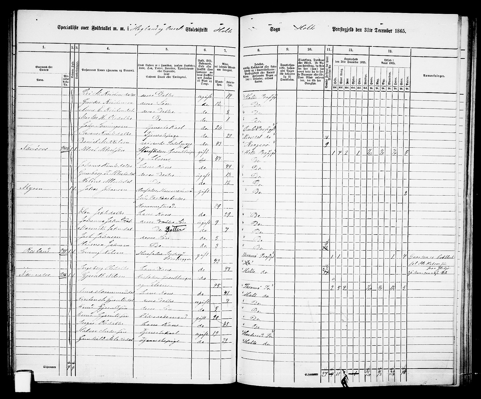 RA, 1865 census for Holt/Holt, 1865, p. 138