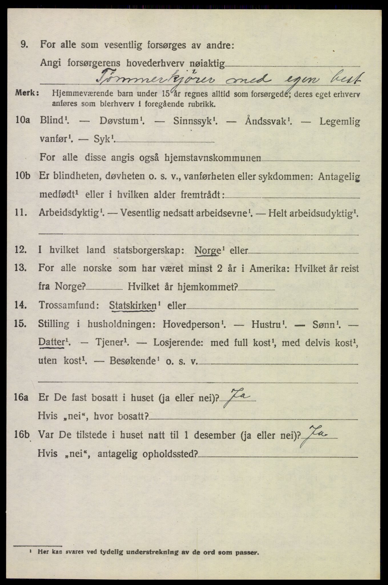 SAH, 1920 census for Trysil, 1920, p. 6654