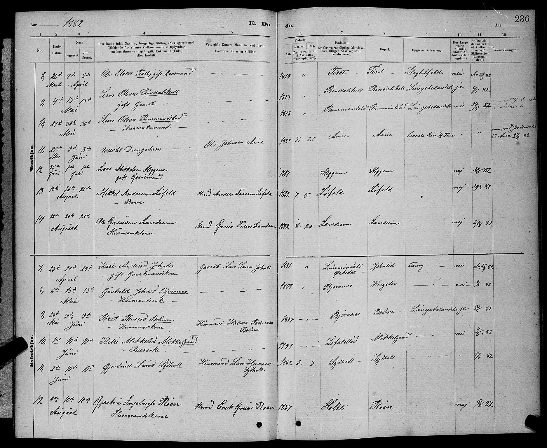 Ministerialprotokoller, klokkerbøker og fødselsregistre - Møre og Romsdal, AV/SAT-A-1454/598/L1077: Parish register (copy) no. 598C02, 1879-1891, p. 236