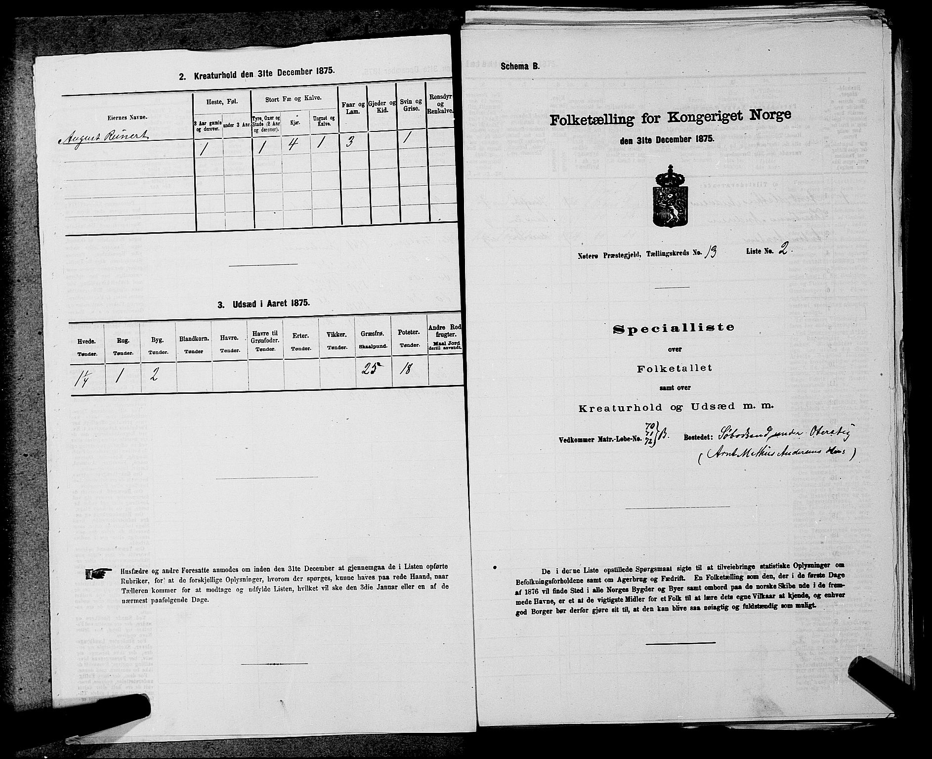 SAKO, 1875 census for 0722P Nøtterøy, 1875, p. 2849