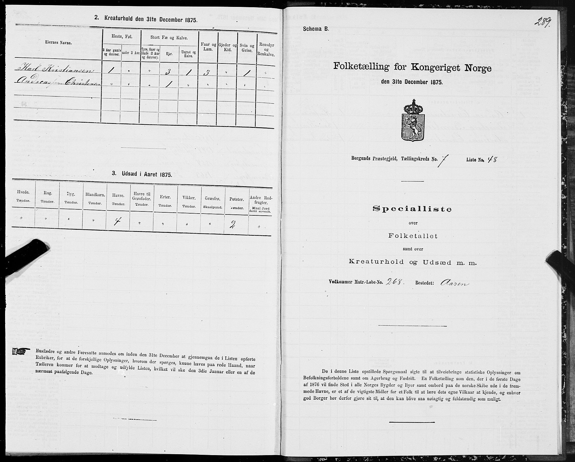 SAT, 1875 census for 1531P Borgund, 1875, p. 4289