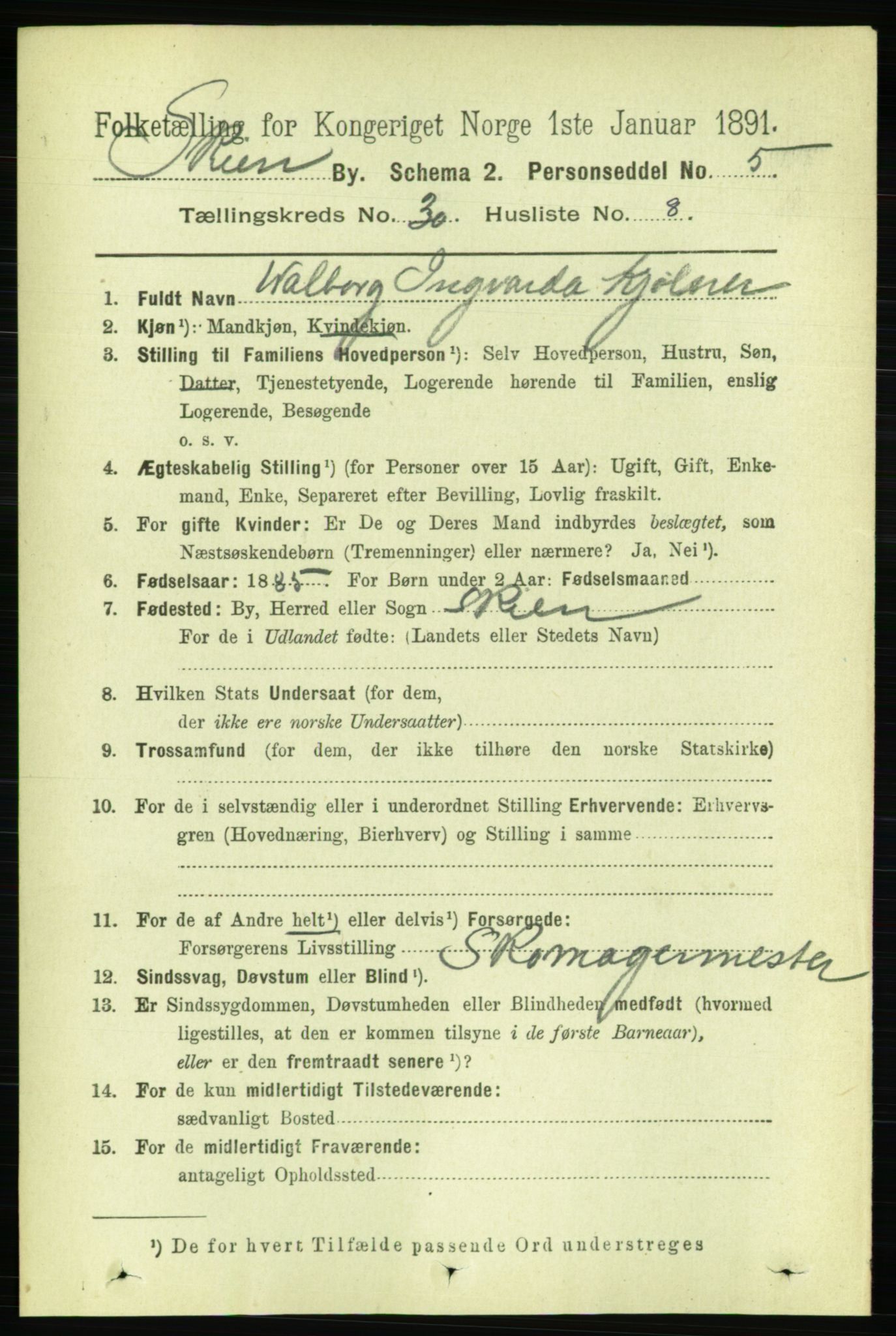 RA, 1891 census for 0806 Skien, 1891, p. 6932