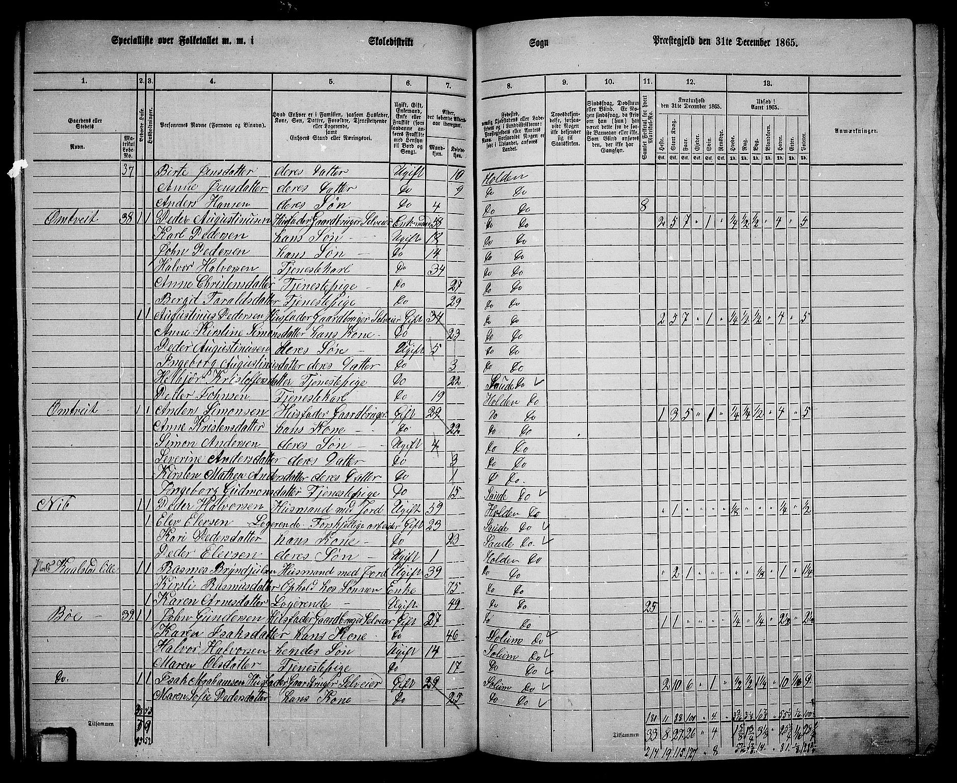 RA, 1865 census for Holla, 1865, p. 97