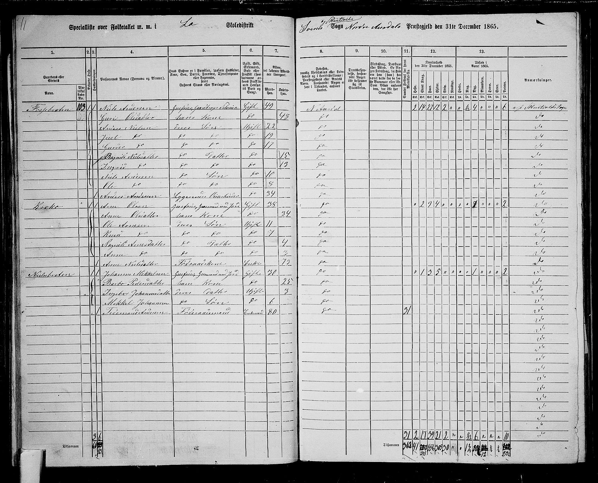 RA, 1865 census for Nord-Aurdal, 1865, p. 107