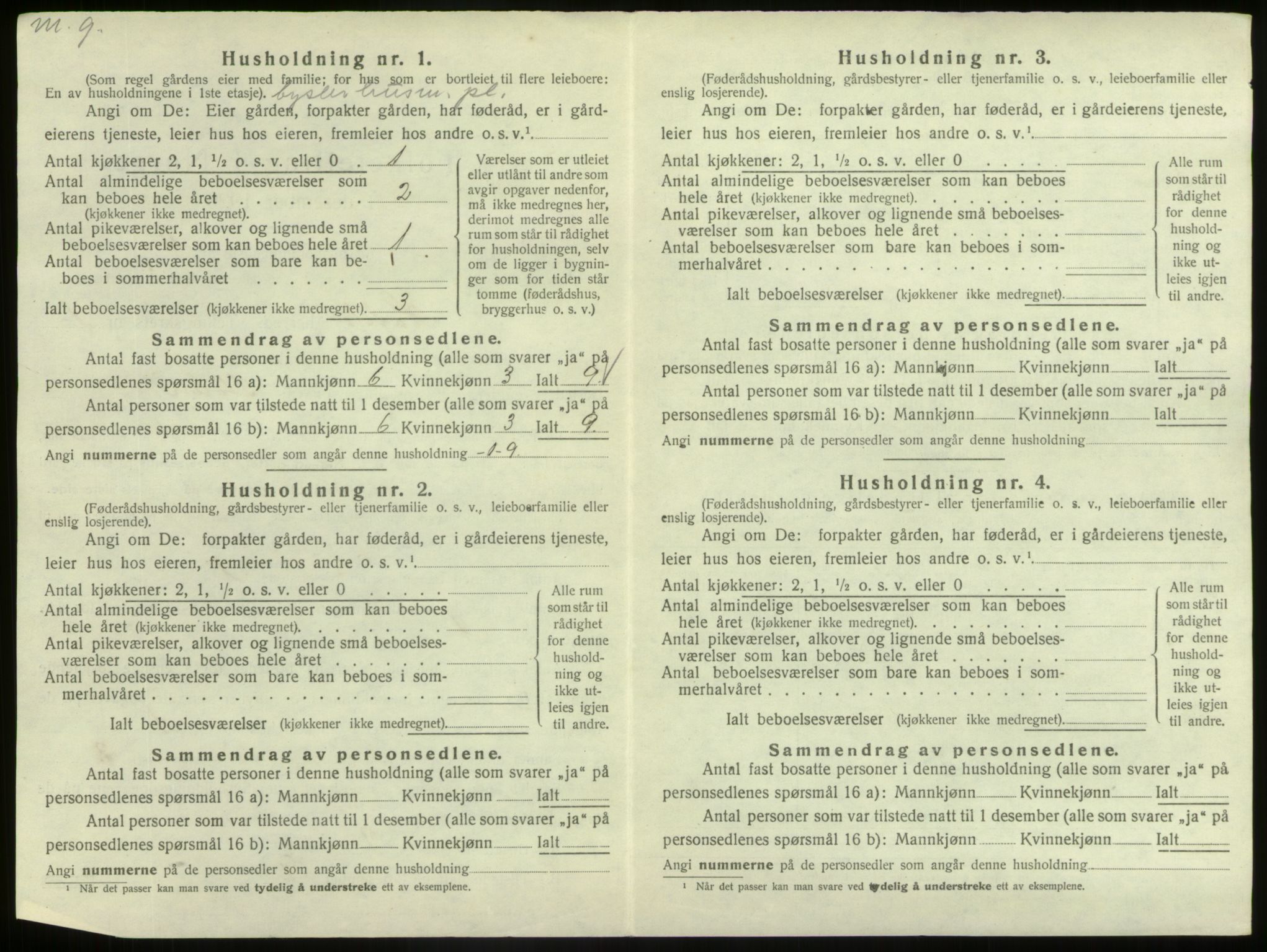 SAB, 1920 census for Hafslo, 1920, p. 43