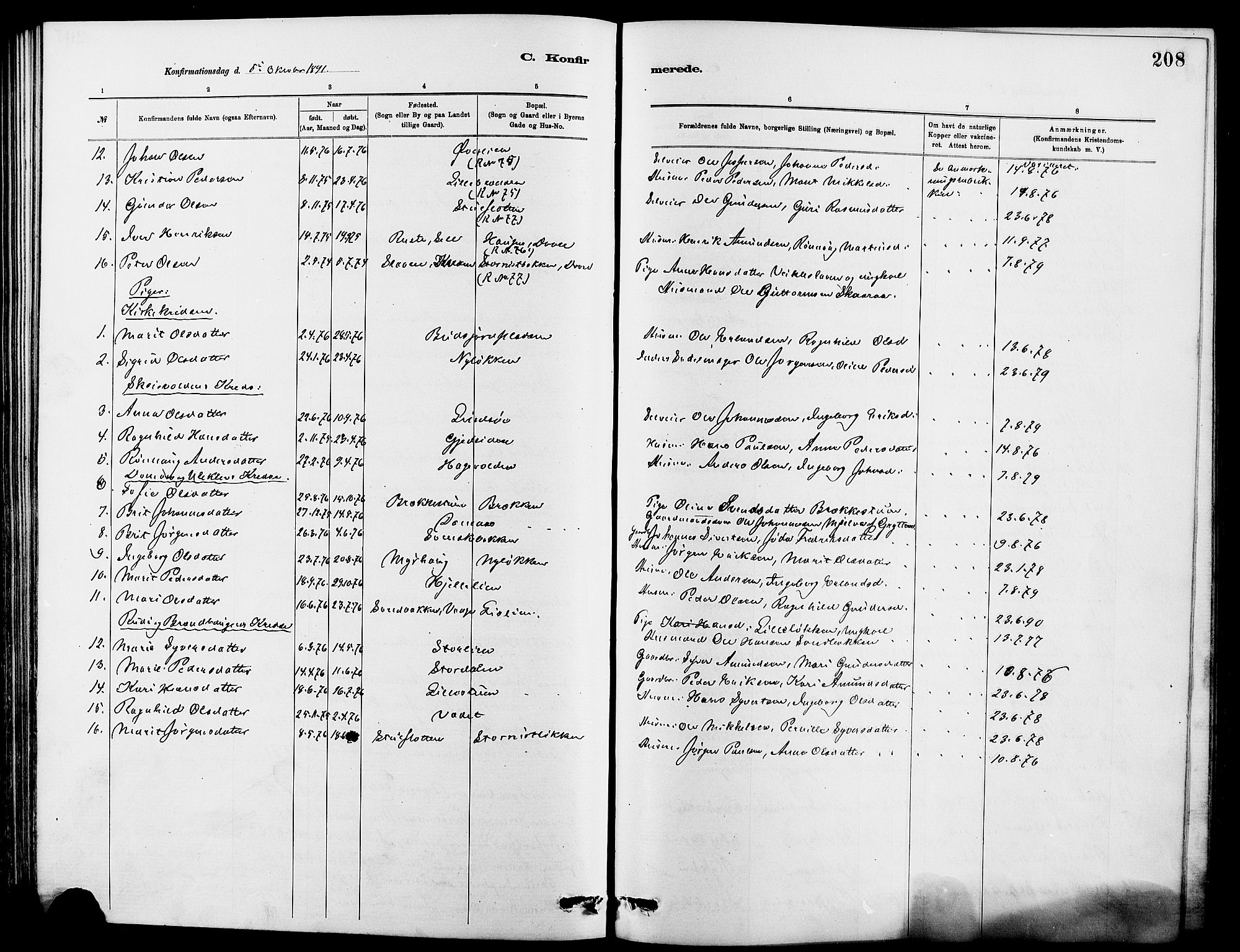 Dovre prestekontor, SAH/PREST-066/H/Ha/Hab/L0002: Parish register (copy) no. 2, 1881-1907, p. 208