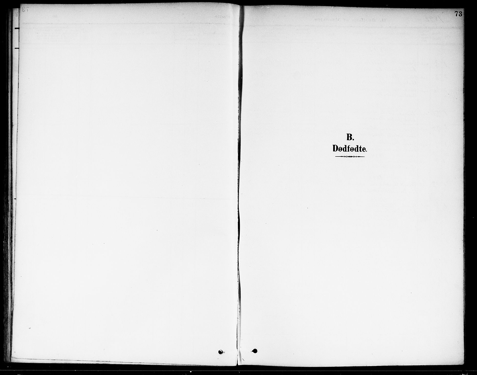 Fet prestekontor Kirkebøker, AV/SAO-A-10370a/F/Fa/L0015: Parish register (official) no. I 15, 1892-1904, p. 73