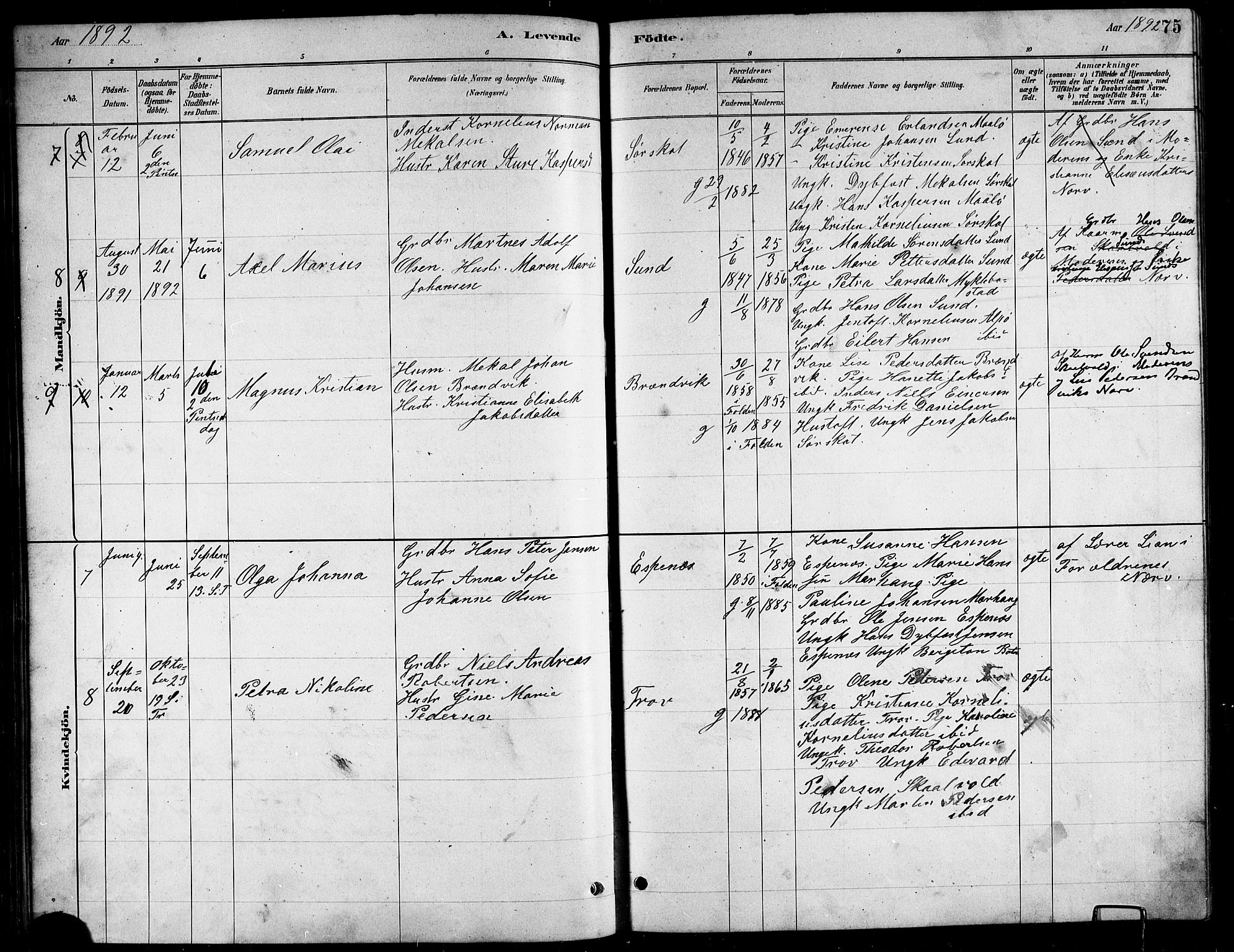 Ministerialprotokoller, klokkerbøker og fødselsregistre - Nordland, AV/SAT-A-1459/857/L0828: Parish register (copy) no. 857C03, 1879-1908, p. 75