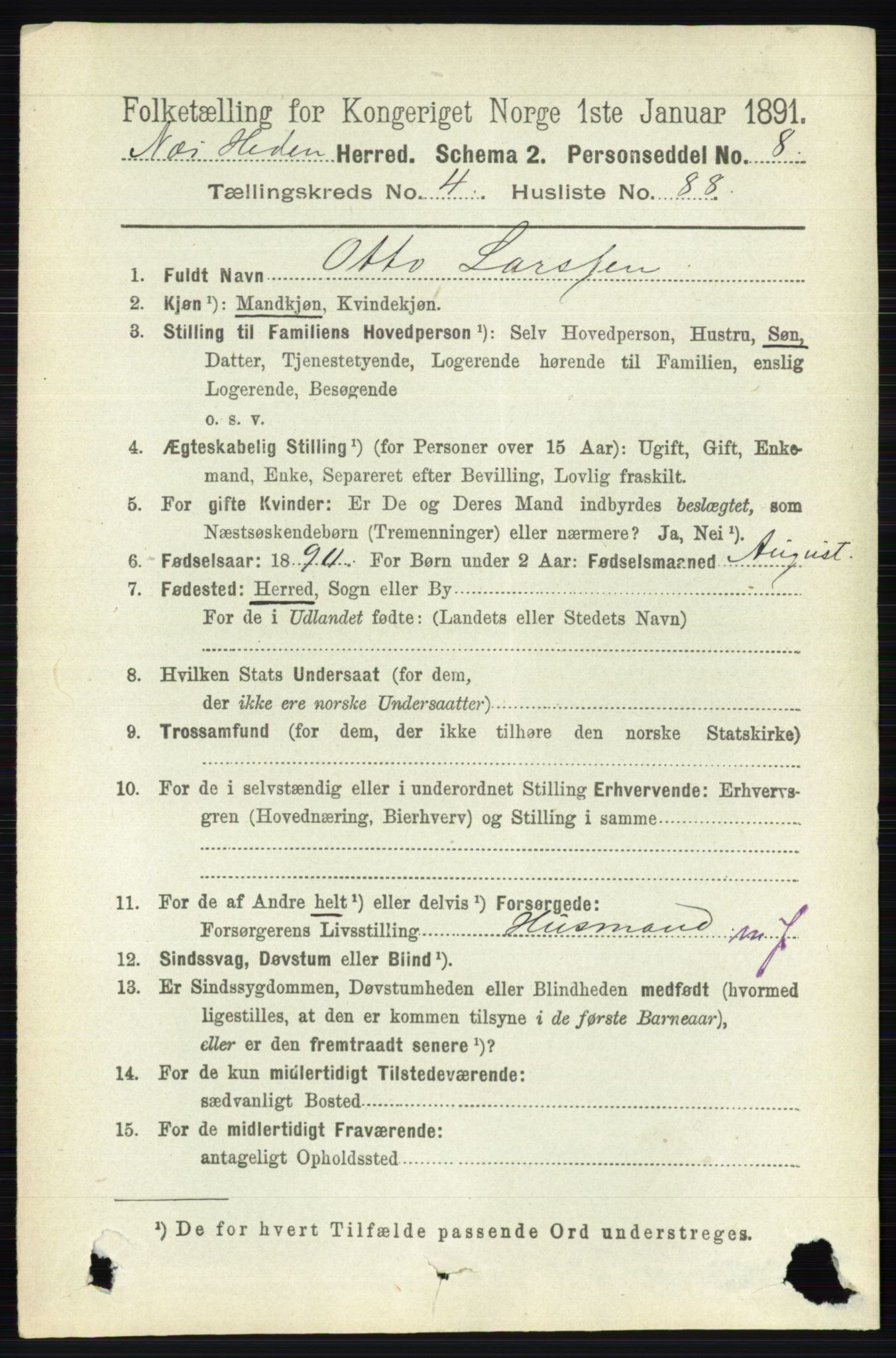 RA, 1891 census for 0411 Nes, 1891, p. 2518