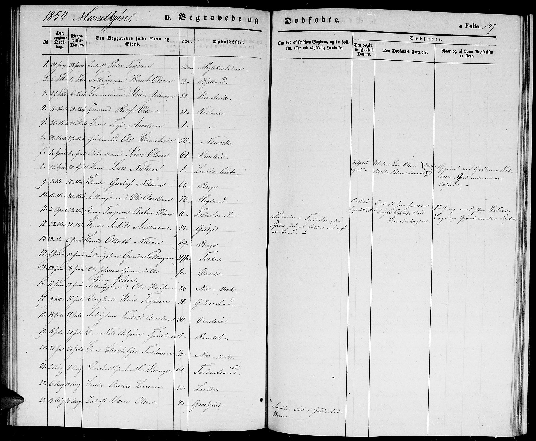 Holt sokneprestkontor, AV/SAK-1111-0021/F/Fb/L0007: Parish register (copy) no. B 7, 1849-1858, p. 147