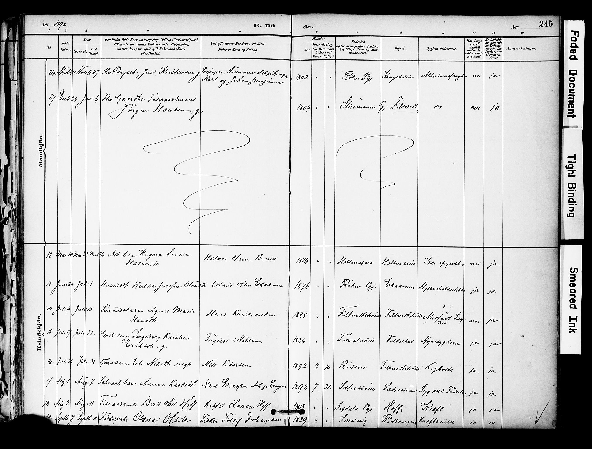 Hurum kirkebøker, AV/SAKO-A-229/F/Fa/L0014: Parish register (official) no. 14, 1882-1895, p. 245