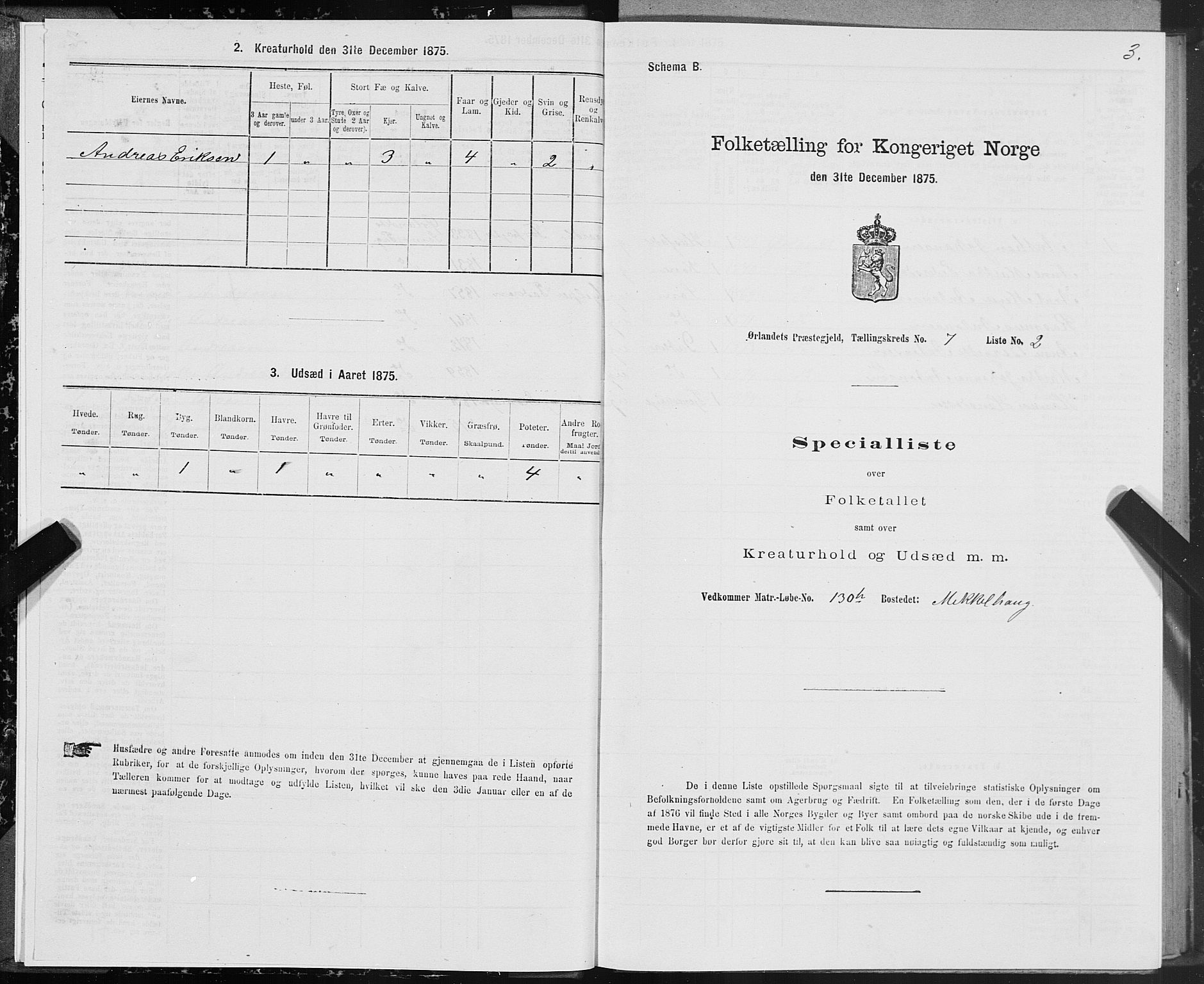 SAT, 1875 census for 1621P Ørland, 1875, p. 4003