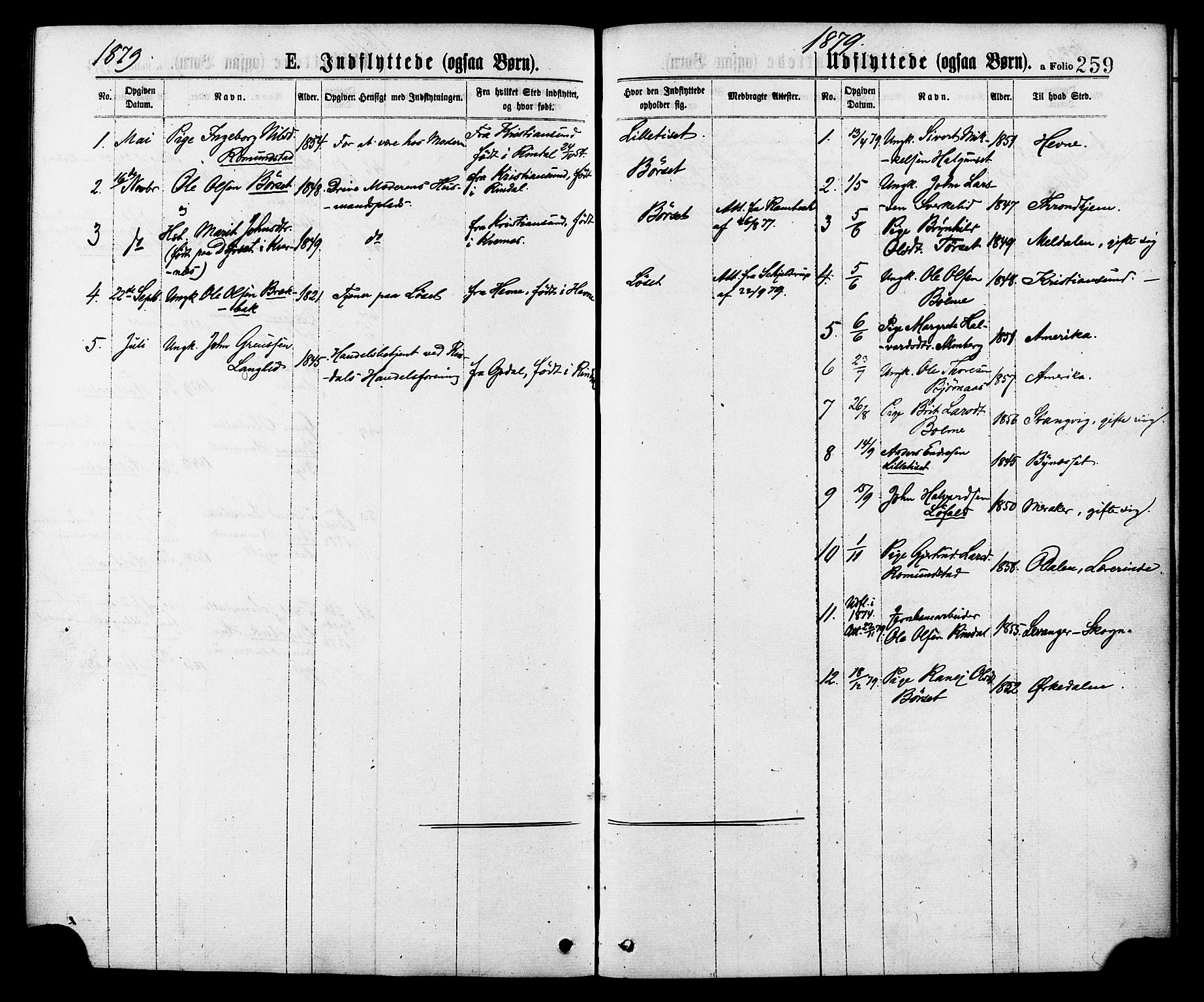 Ministerialprotokoller, klokkerbøker og fødselsregistre - Møre og Romsdal, SAT/A-1454/598/L1068: Parish register (official) no. 598A02, 1872-1881, p. 259