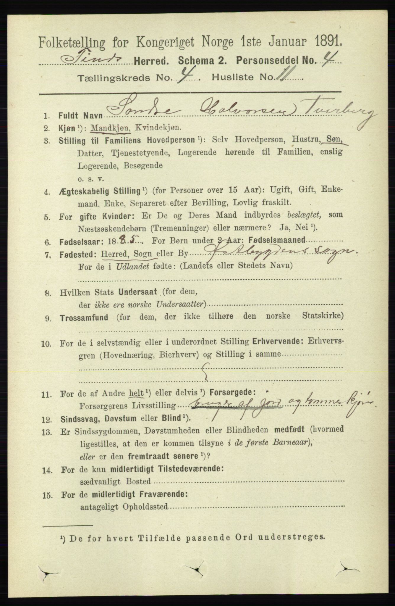 RA, 1891 census for 0826 Tinn, 1891, p. 786