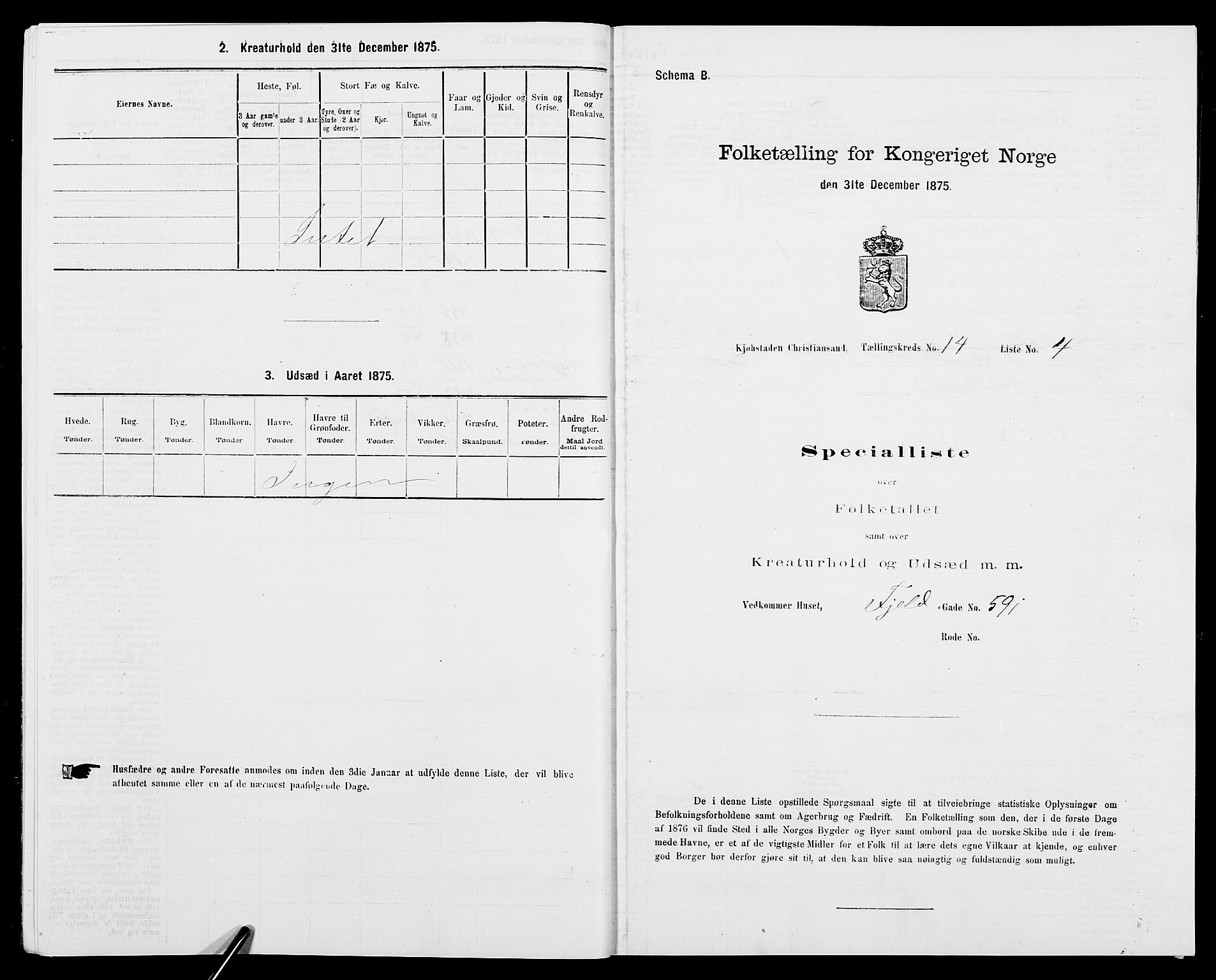 SAK, 1875 census for 1001P Kristiansand, 1875, p. 2182