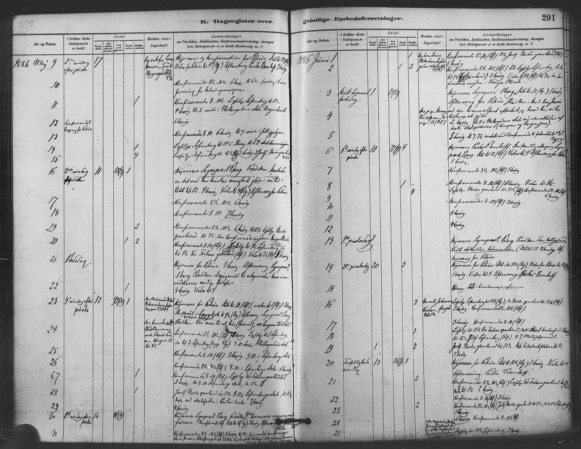 Paulus prestekontor Kirkebøker, AV/SAO-A-10871/F/Fa/L0005: Parish register (official) no. 5, 1879-1889, p. 291