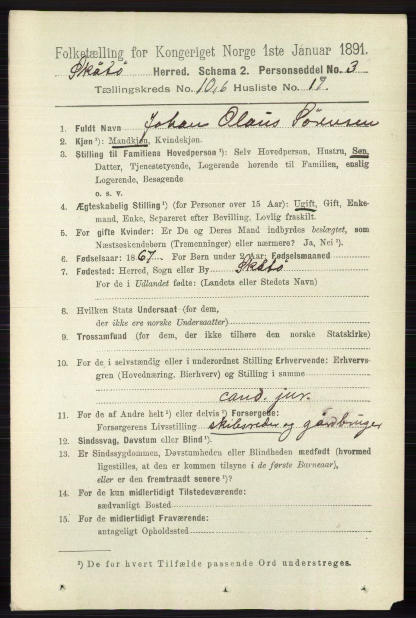 RA, 1891 census for 0815 Skåtøy, 1891, p. 4139