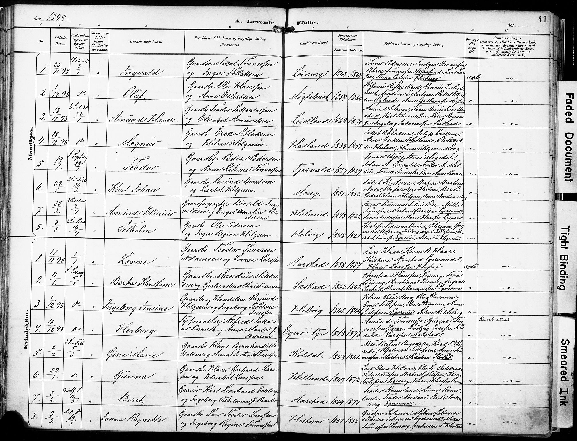 Eigersund sokneprestkontor, SAST/A-101807/S08/L0018: Parish register (official) no. A 17, 1892-1905, p. 41