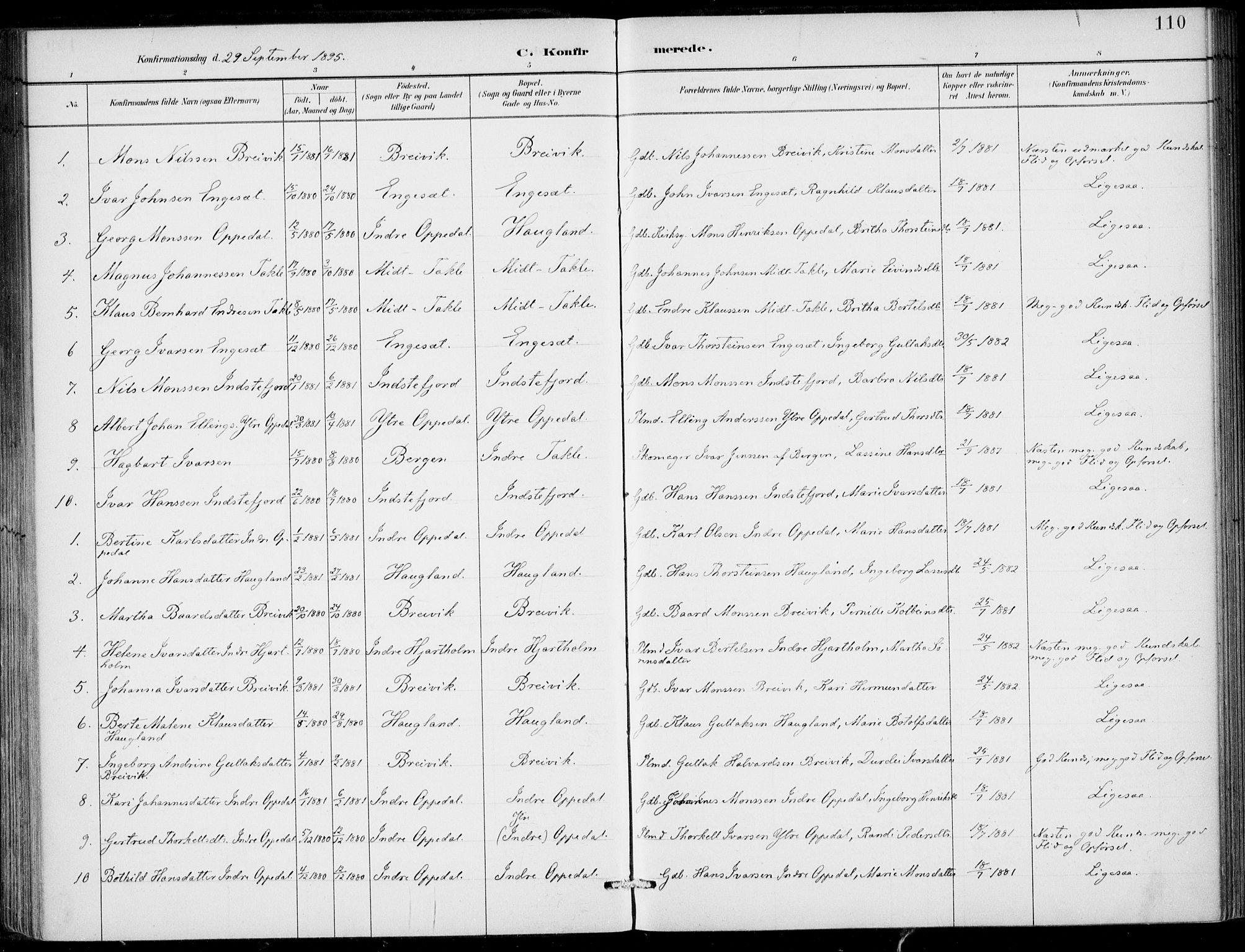 Gulen sokneprestembete, AV/SAB-A-80201/H/Haa/Haac/L0002: Parish register (official) no. C  2, 1882-1914, p. 110