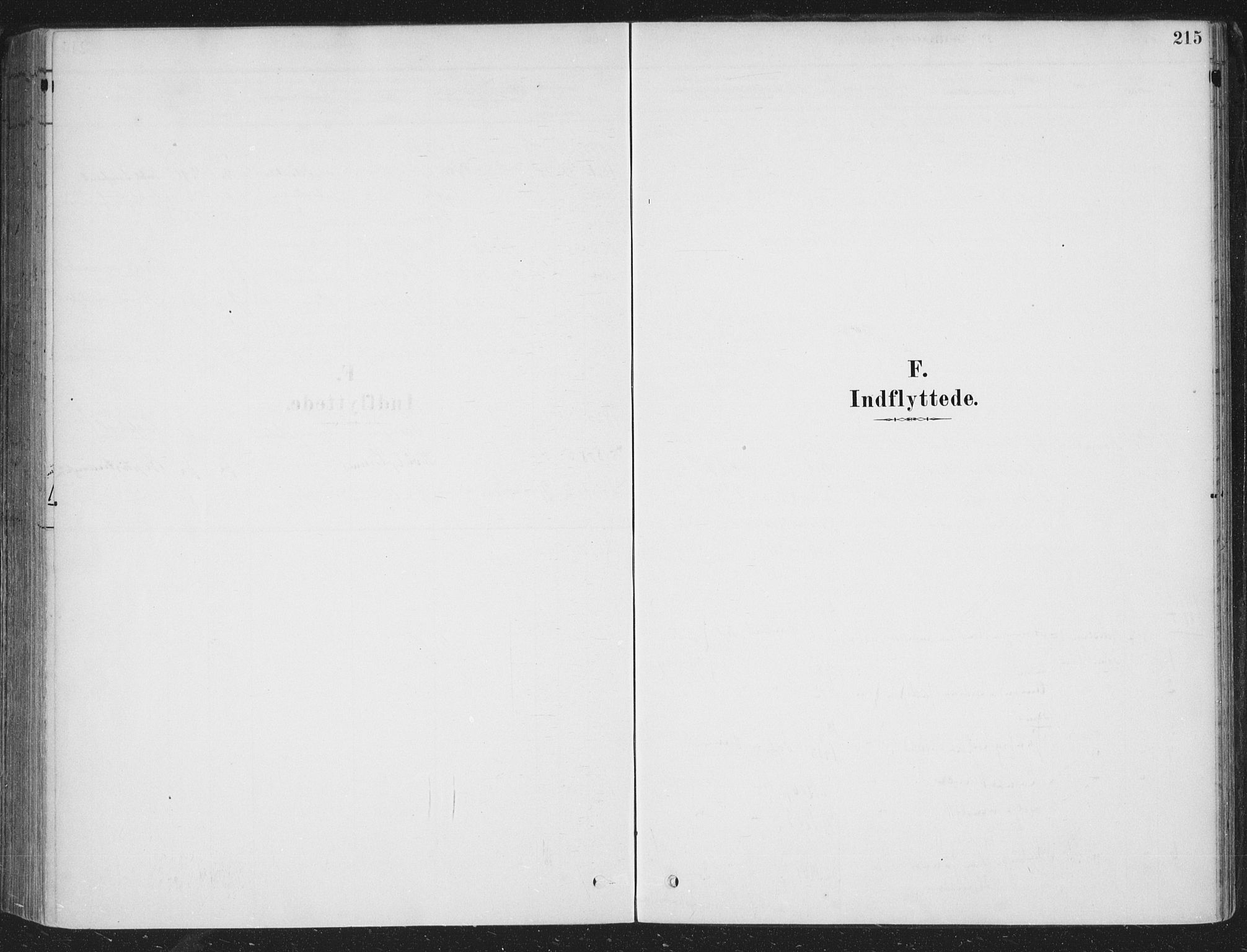 Sandsvær kirkebøker, SAKO/A-244/F/Fe/L0001: Parish register (official) no. V 1, 1878-1936, p. 215