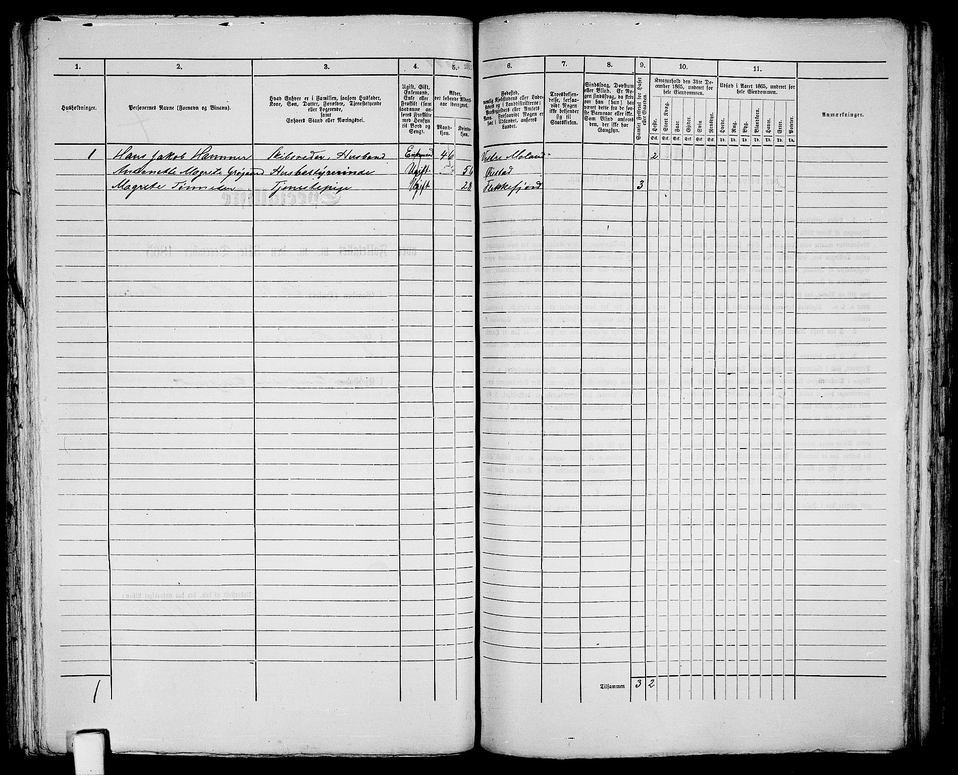 RA, 1865 census for Vestre Moland/Lillesand, 1865, p. 208