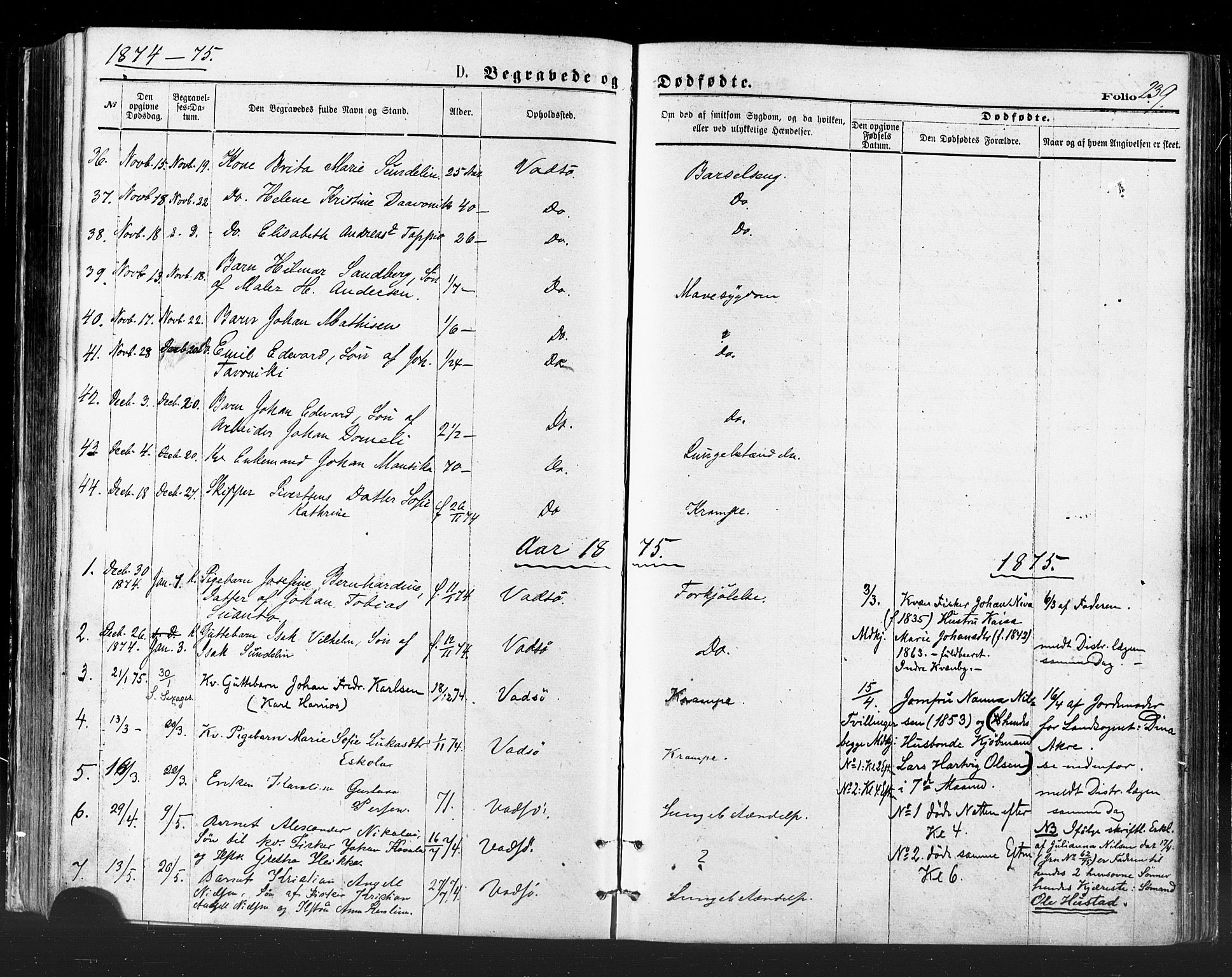 Vadsø sokneprestkontor, SATØ/S-1325/H/Ha/L0005kirke: Parish register (official) no. 5, 1873-1884, p. 239