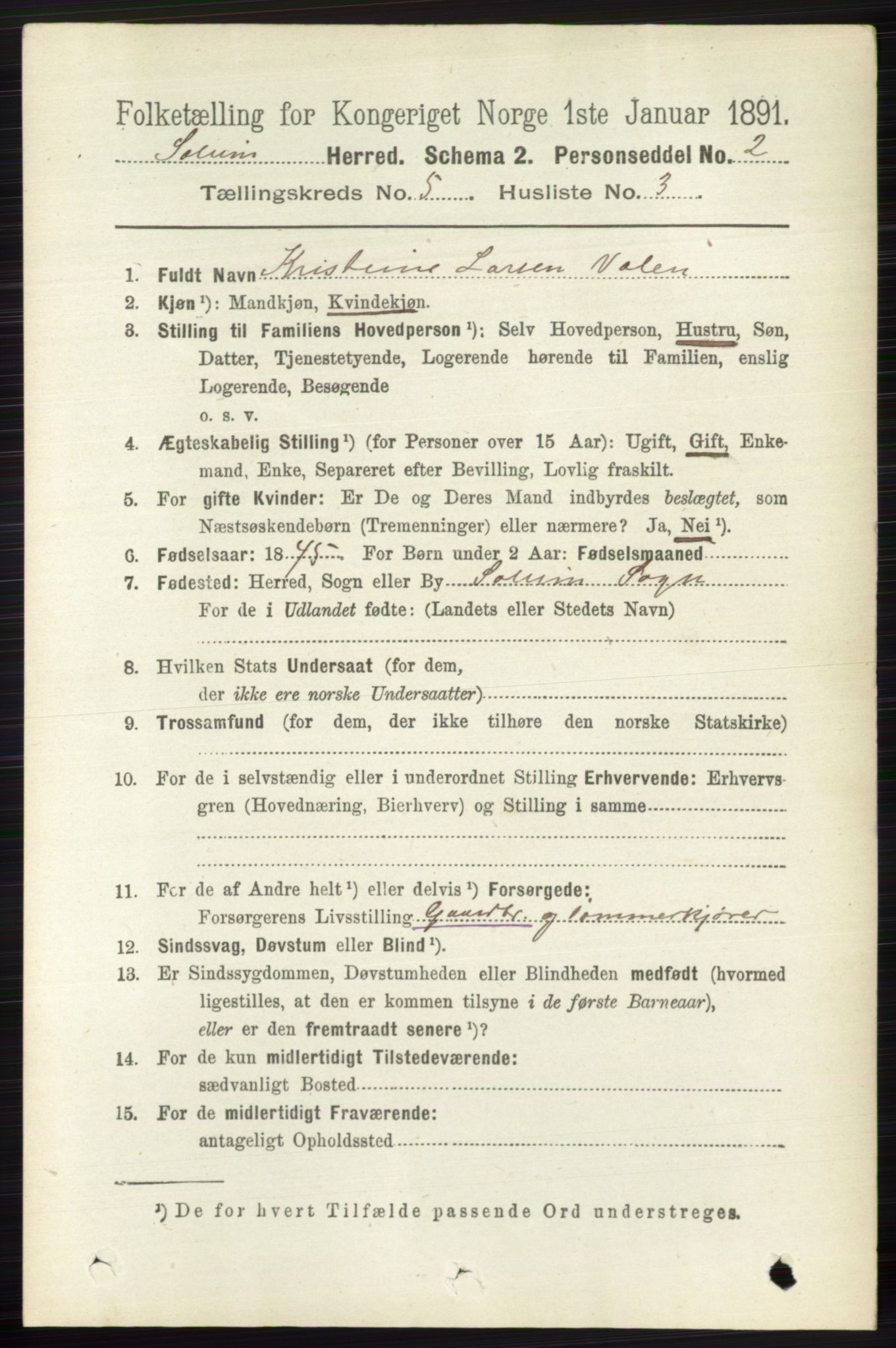 RA, 1891 census for 0818 Solum, 1891, p. 848