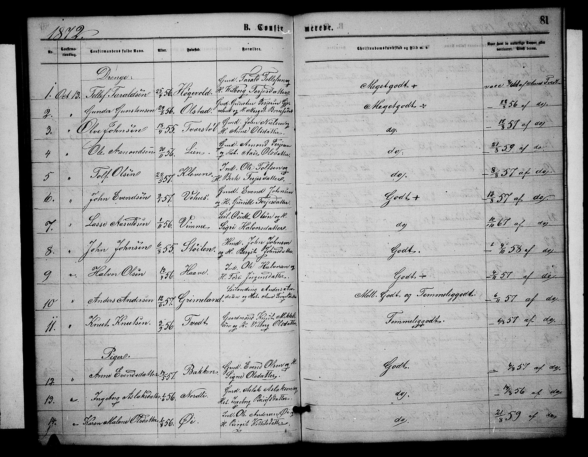 Åmli sokneprestkontor, SAK/1111-0050/F/Fb/Fbc/L0003: Parish register (copy) no. B 3, 1868-1888, p. 81