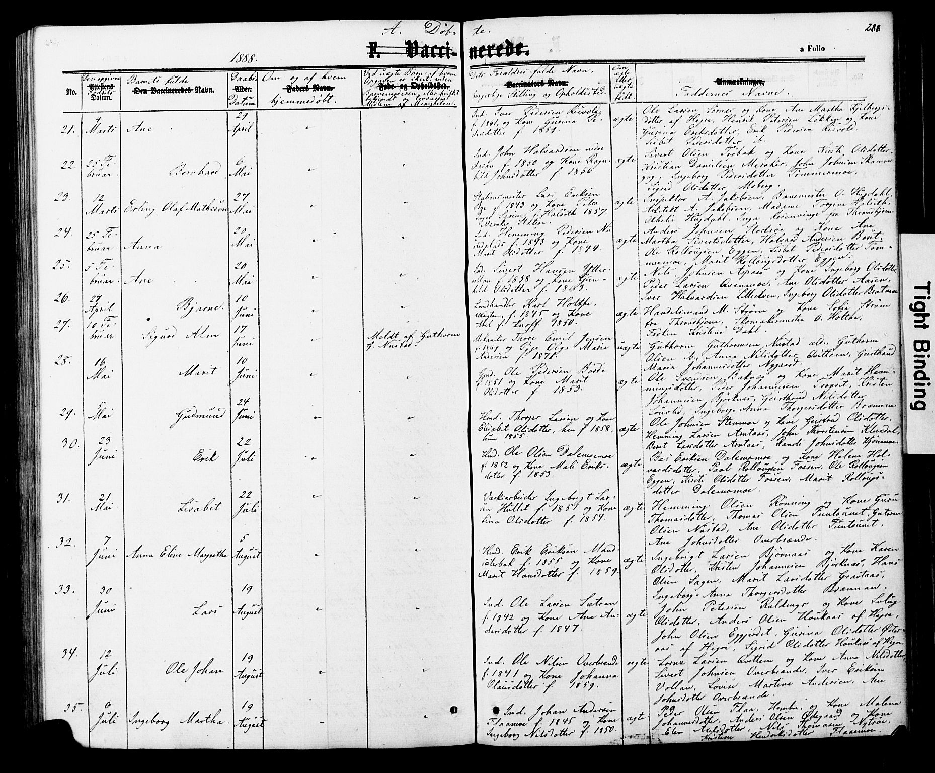 Ministerialprotokoller, klokkerbøker og fødselsregistre - Nord-Trøndelag, AV/SAT-A-1458/706/L0049: Parish register (copy) no. 706C01, 1864-1895, p. 288