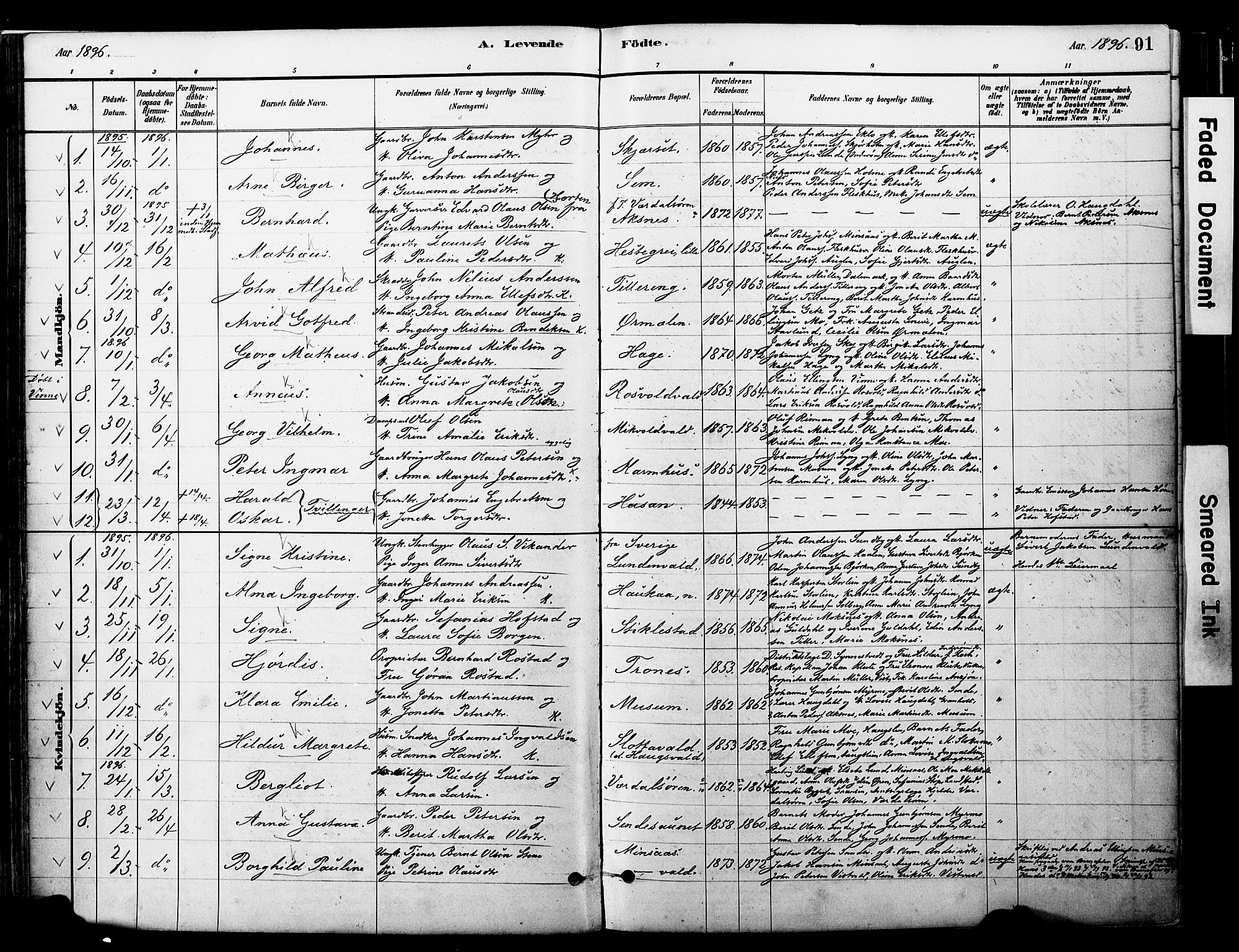 Ministerialprotokoller, klokkerbøker og fødselsregistre - Nord-Trøndelag, SAT/A-1458/723/L0244: Parish register (official) no. 723A13, 1881-1899, p. 91