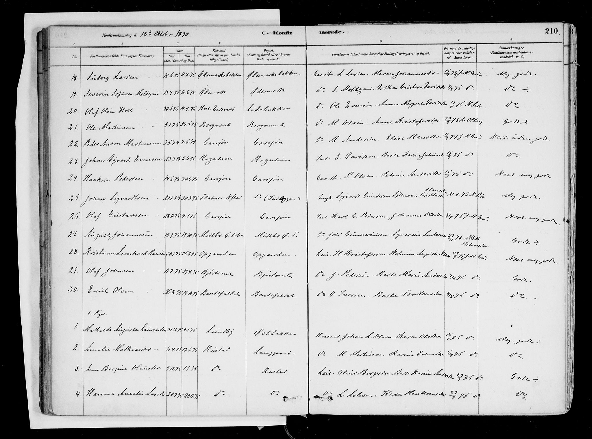 Hurdal prestekontor Kirkebøker, AV/SAO-A-10889/F/Fa/L0007: Parish register (official) no. I 7, 1878-1906, p. 210