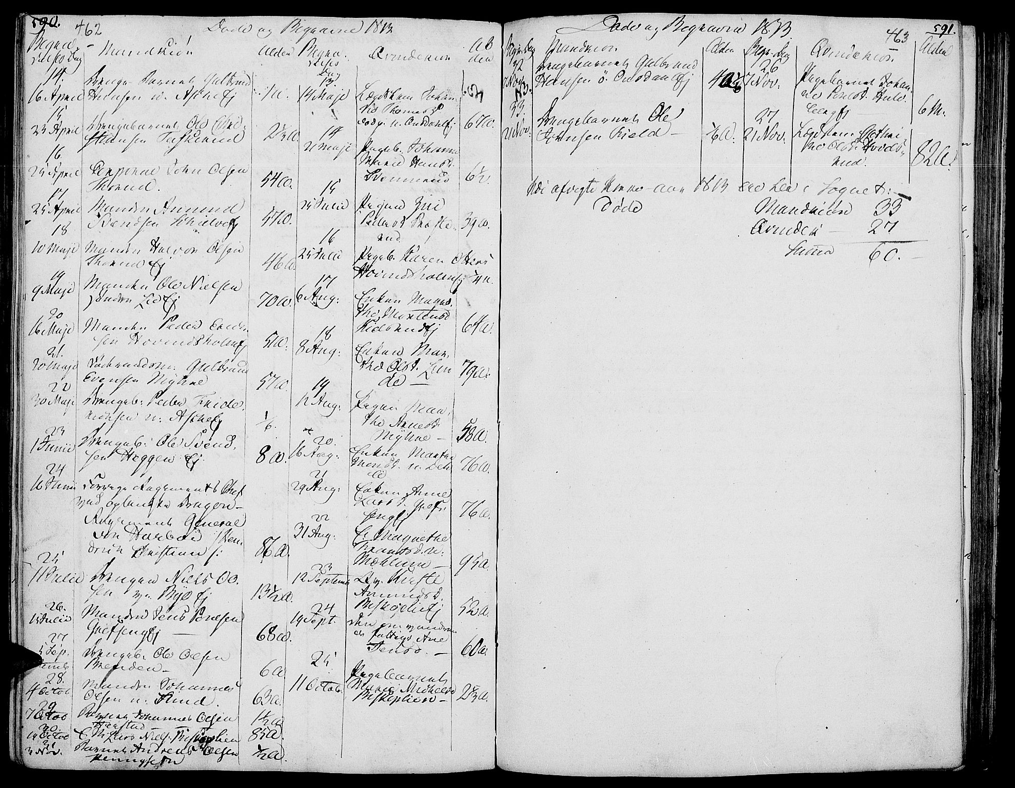 Nes prestekontor, Hedmark, AV/SAH-PREST-020/K/Ka/L0001: Parish register (official) no. 1, 1802-1814, p. 462-463