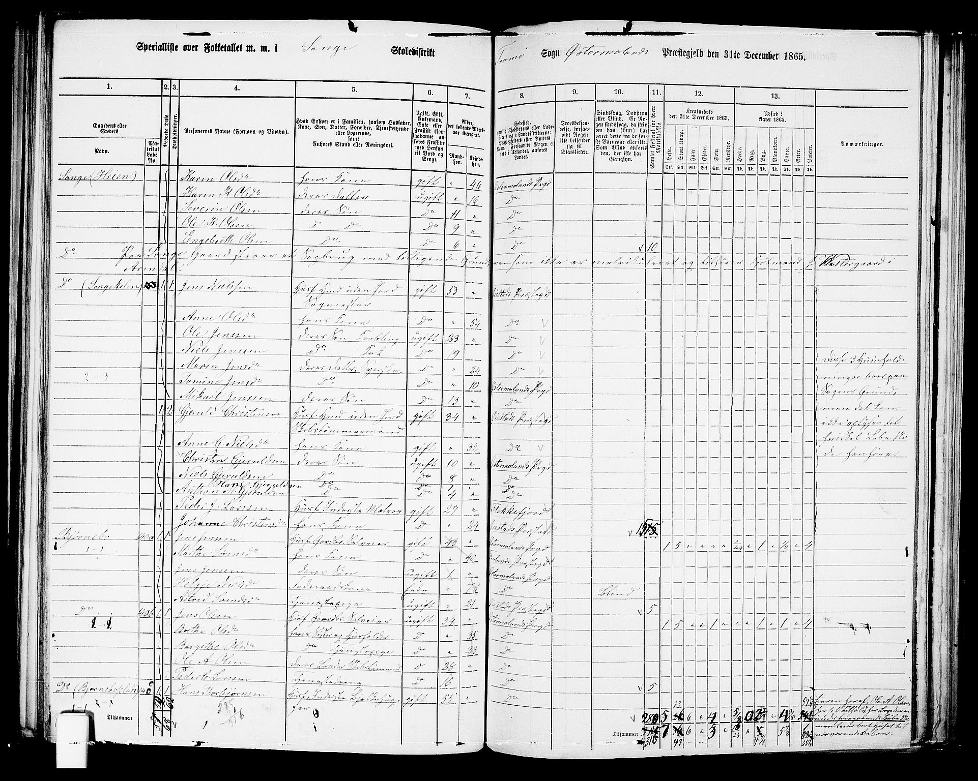 RA, 1865 census for Austre Moland, 1865, p. 161