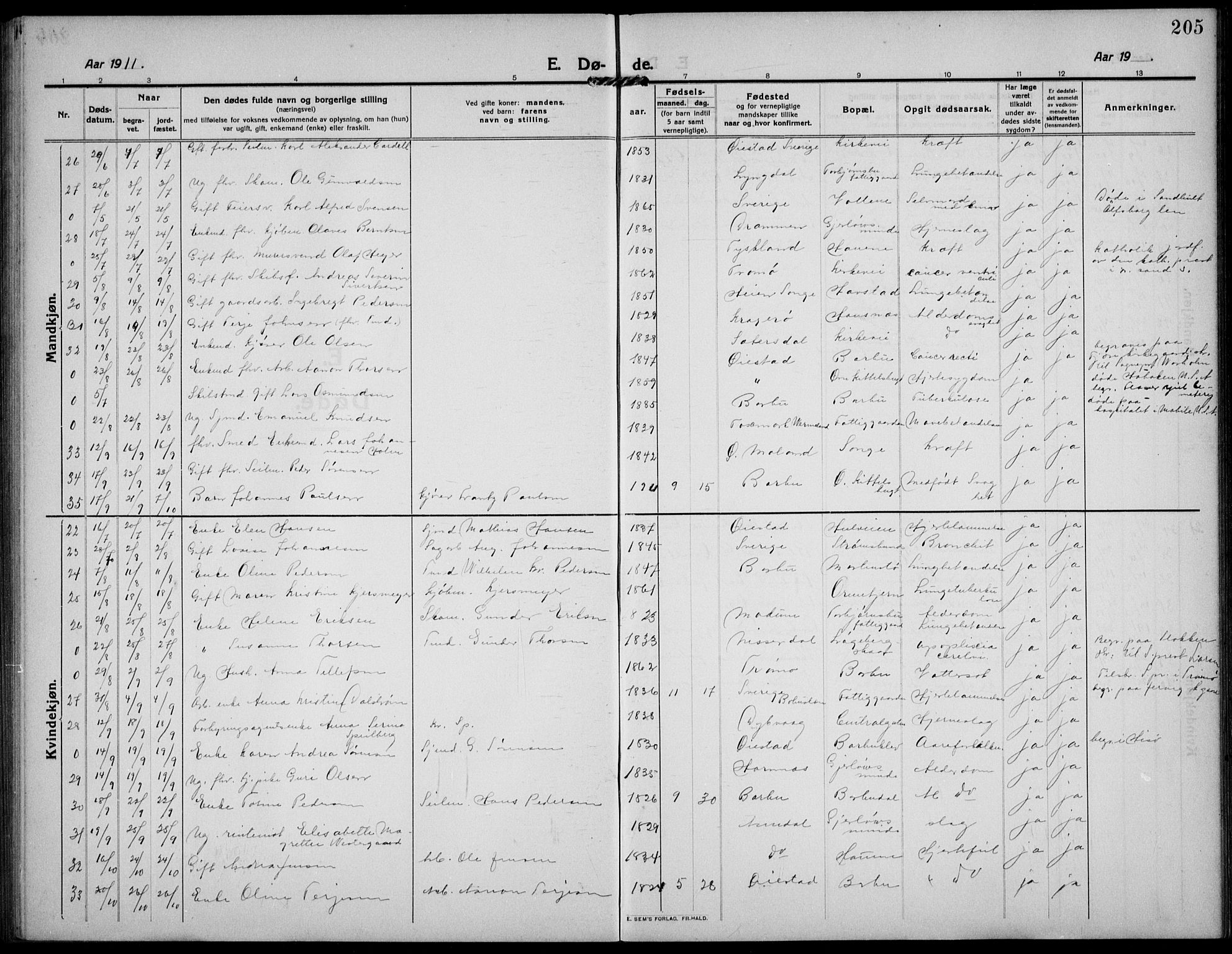 Barbu sokneprestkontor, AV/SAK-1111-0003/F/Fb/L0004: Parish register (copy) no. B 4, 1911-1936, p. 205