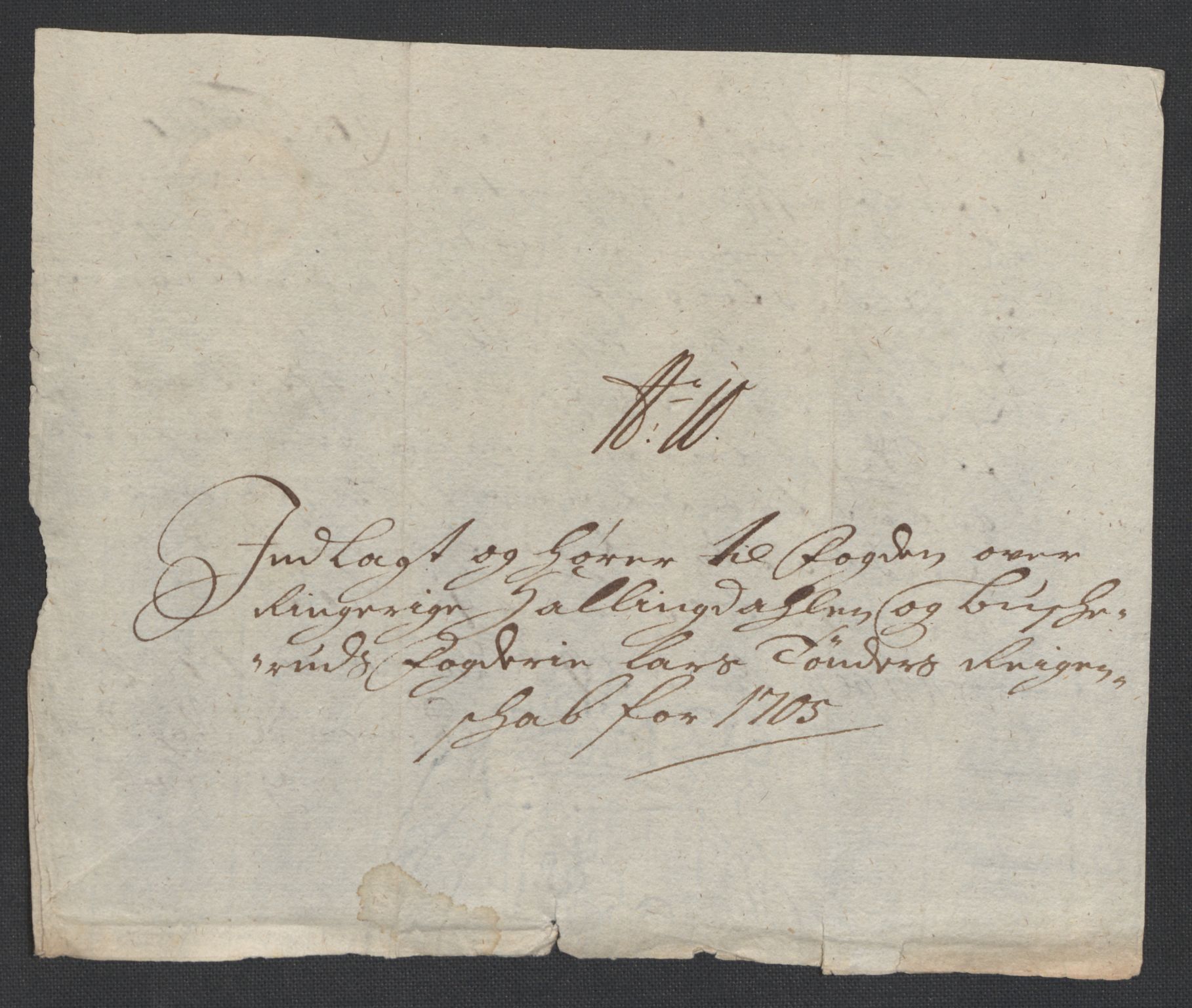 Rentekammeret inntil 1814, Reviderte regnskaper, Fogderegnskap, AV/RA-EA-4092/R22/L1464: Fogderegnskap Ringerike, Hallingdal og Buskerud, 1705, p. 225