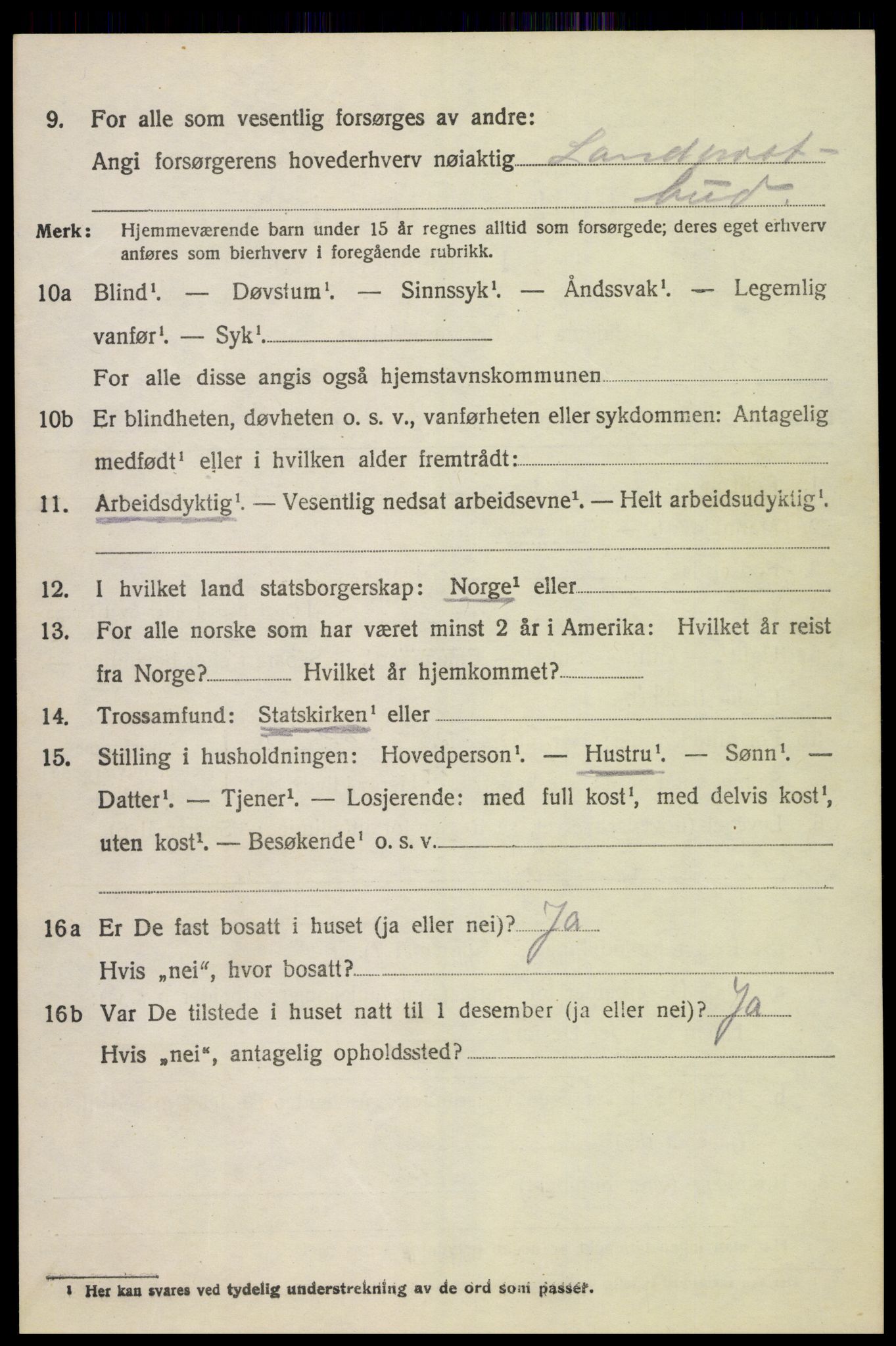 SAH, 1920 census for Ringsaker, 1920, p. 10333