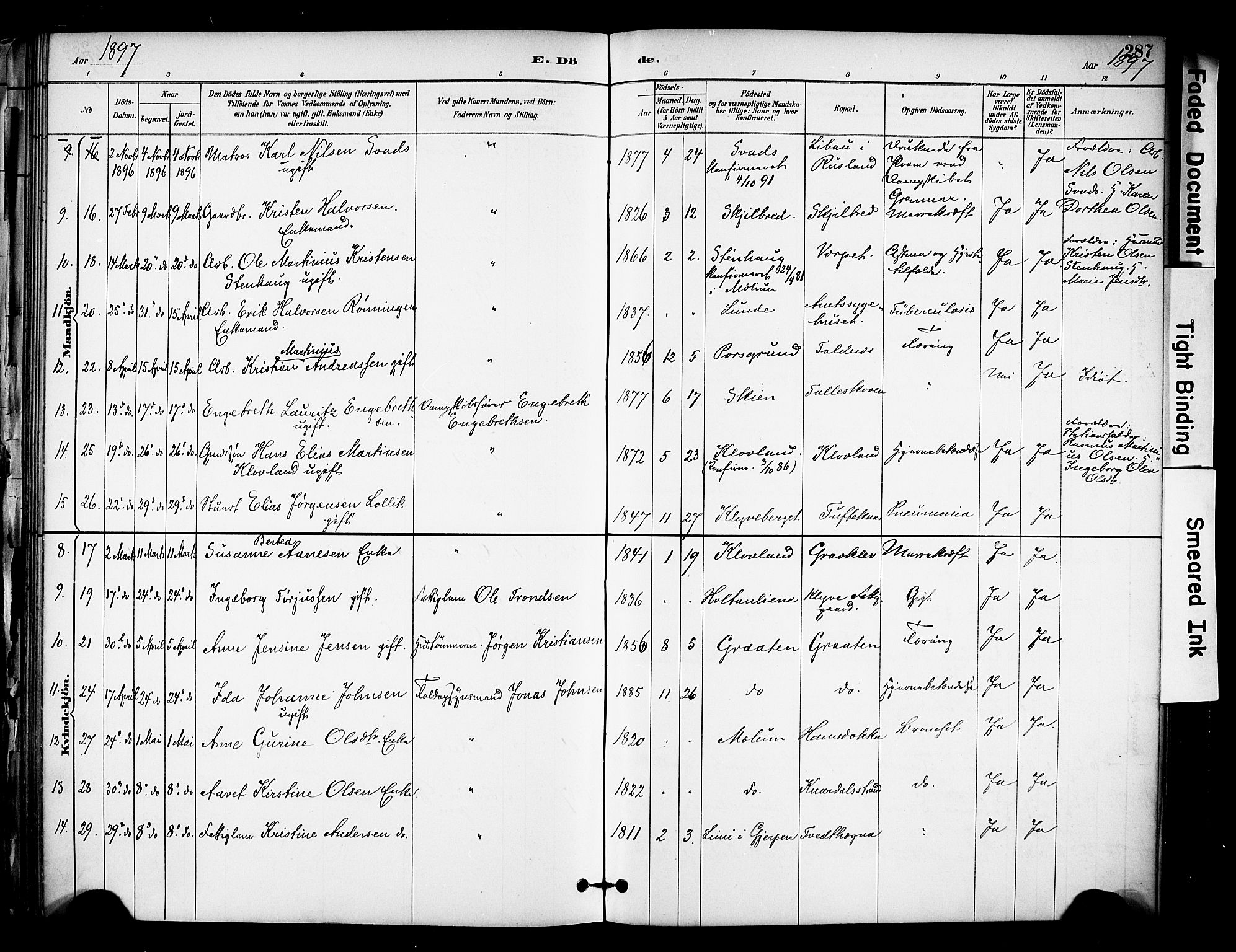 Solum kirkebøker, AV/SAKO-A-306/F/Fa/L0010: Parish register (official) no. I 10, 1888-1898, p. 287