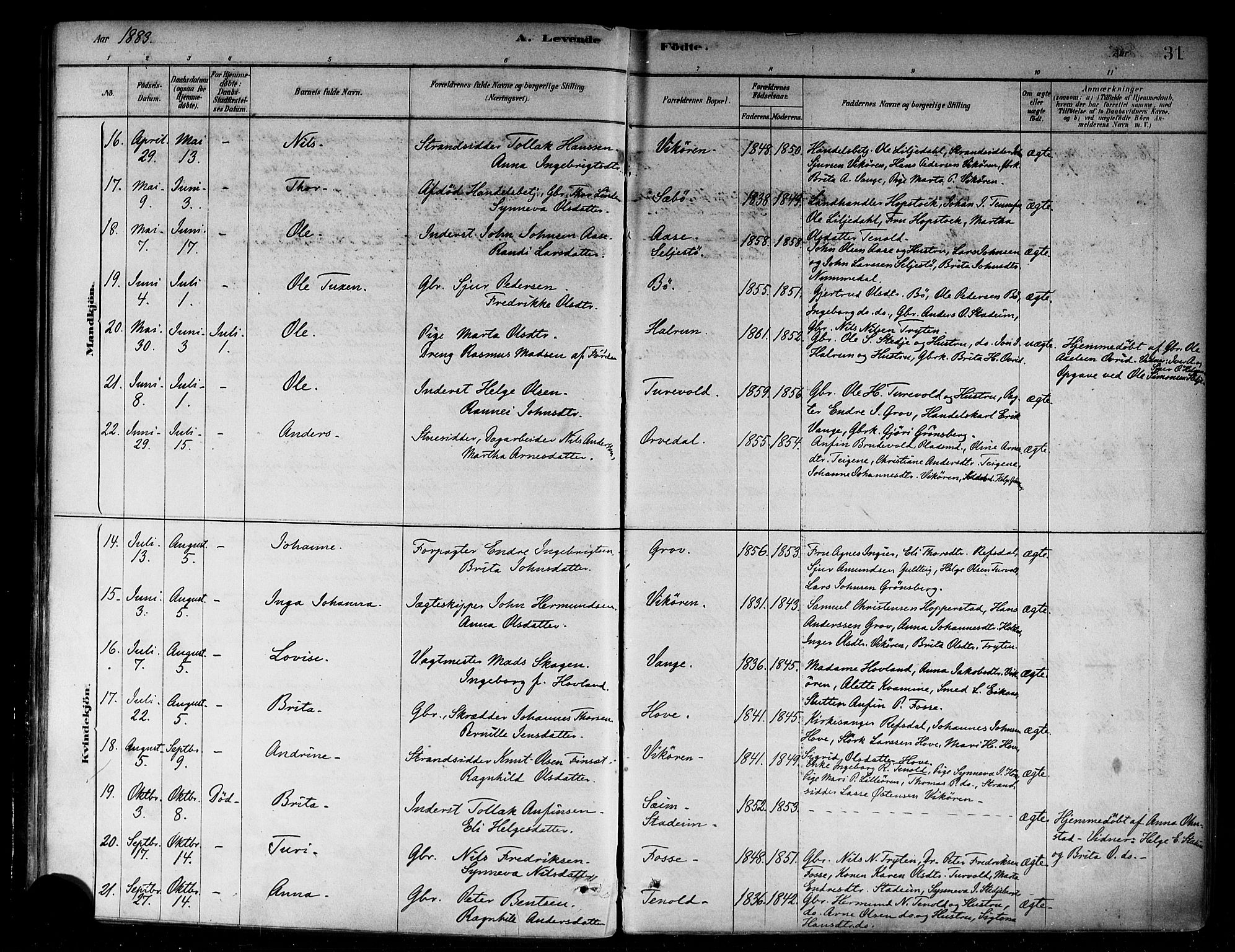 Vik sokneprestembete, AV/SAB-A-81501/H/Haa/Haab/L0001: Parish register (official) no. B 1, 1878-1890, p. 31