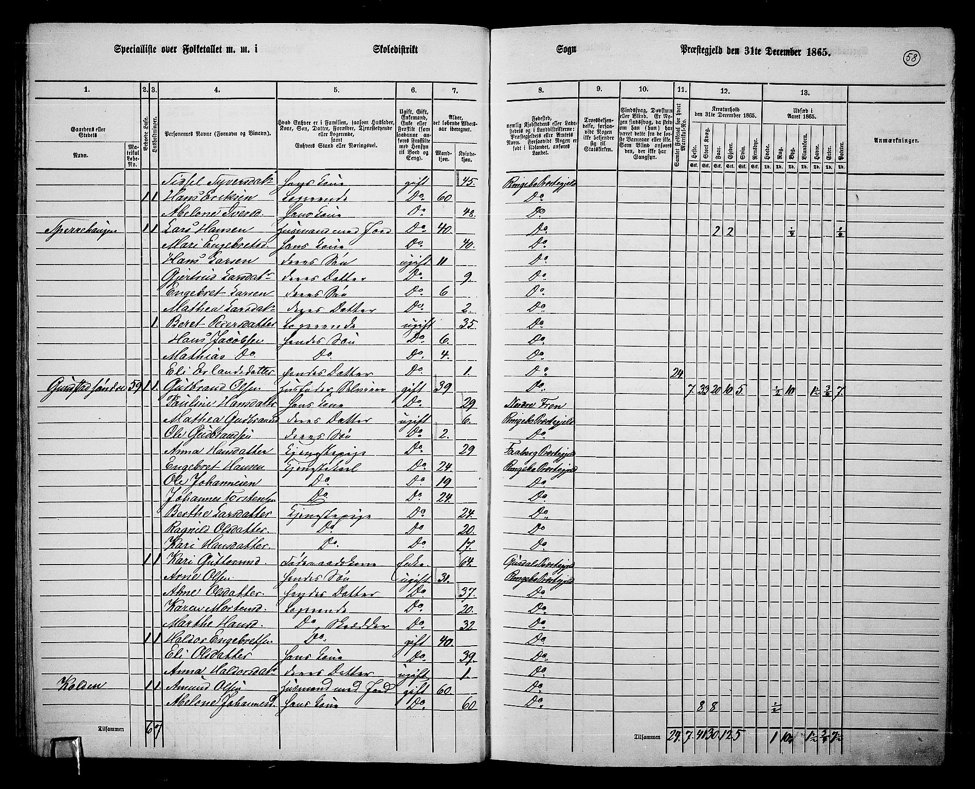 RA, 1865 census for Ringebu, 1865, p. 49