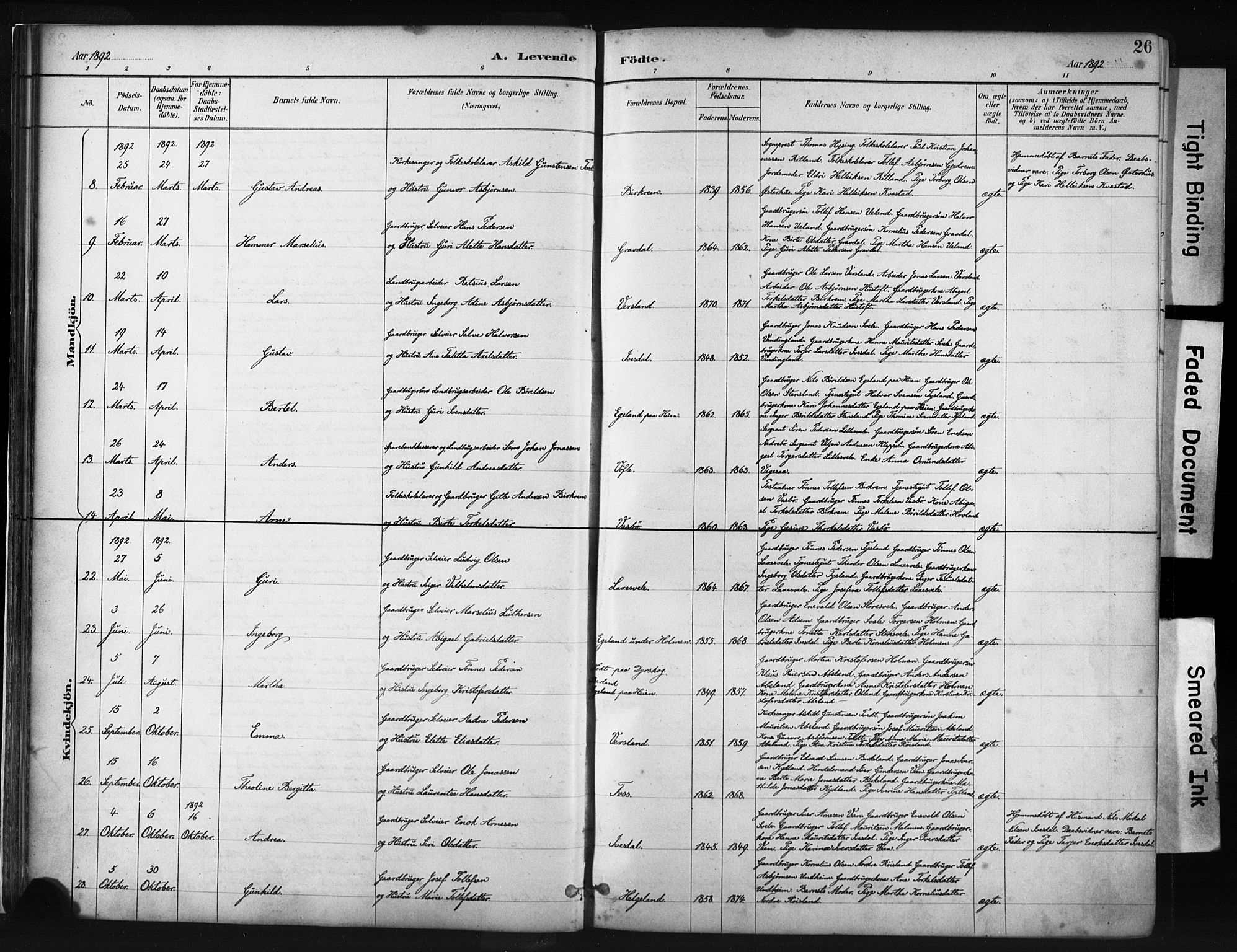 Helleland sokneprestkontor, AV/SAST-A-101810: Parish register (official) no. A 9, 1887-1908, p. 26