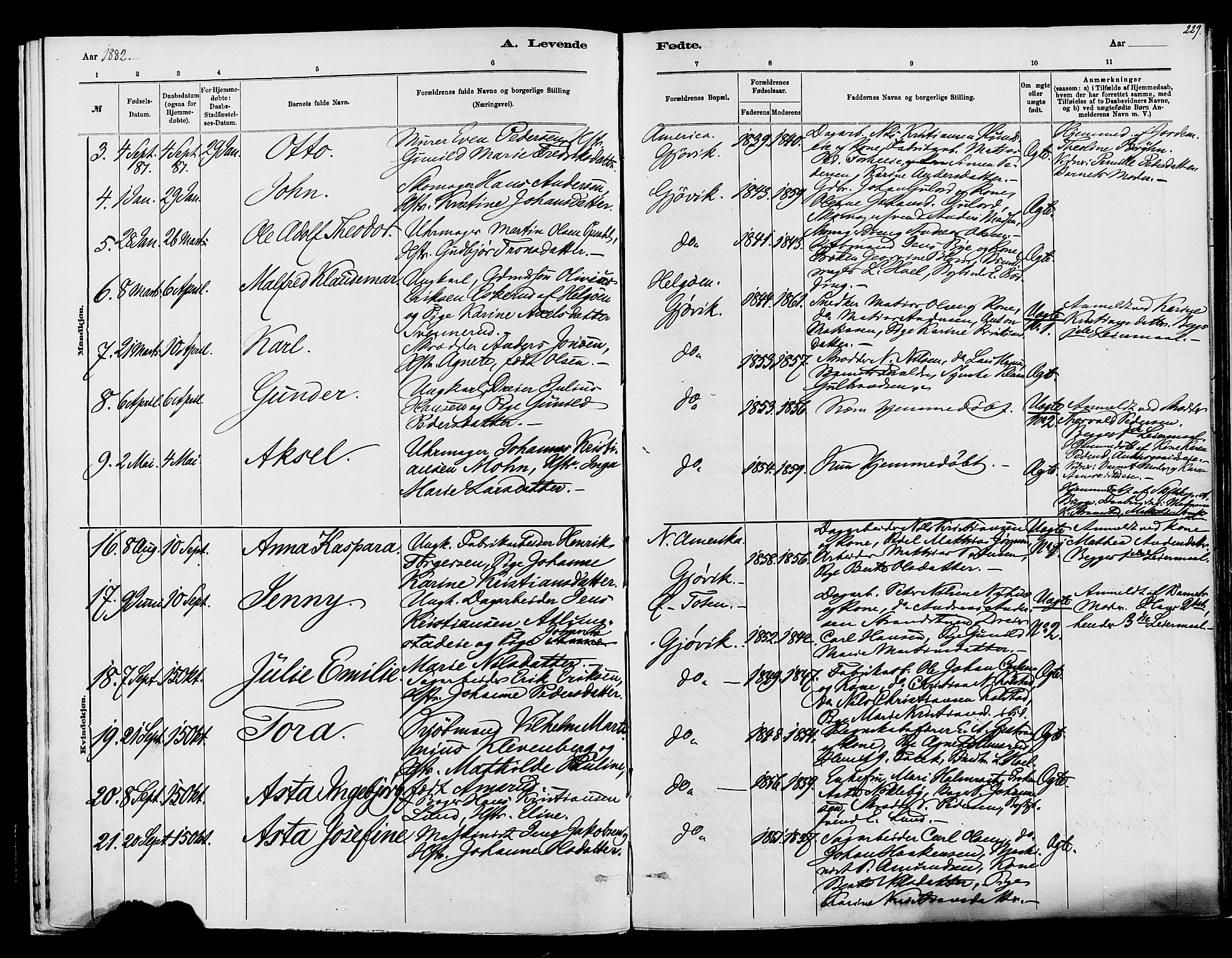 Vardal prestekontor, AV/SAH-PREST-100/H/Ha/Haa/L0008: Parish register (official) no. 8, 1878-1890, p. 229