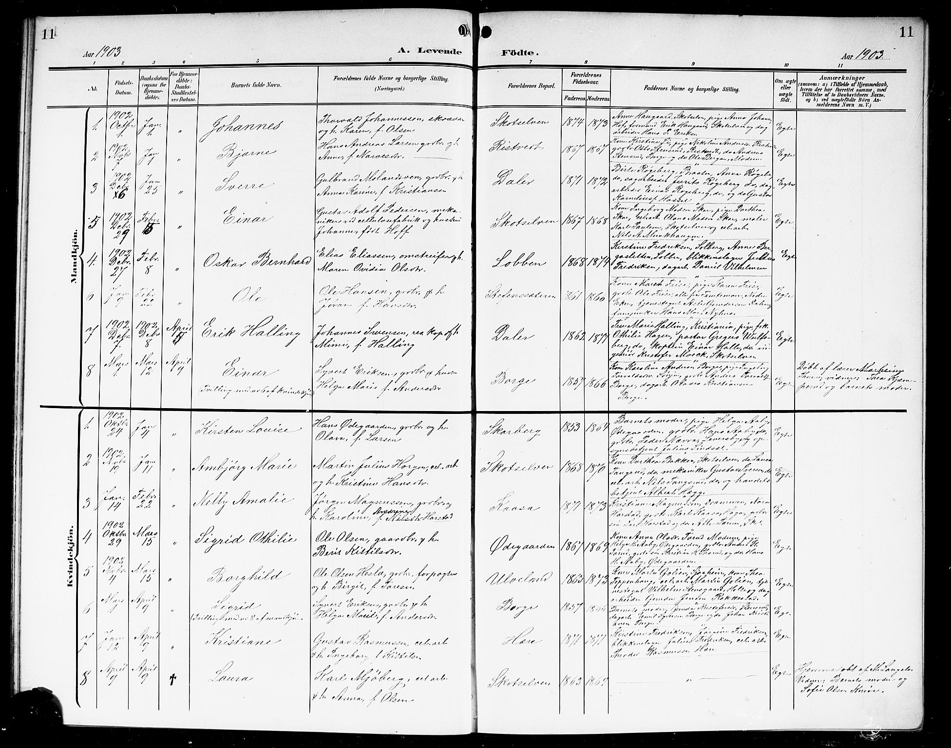 Eiker kirkebøker, AV/SAKO-A-4/G/Gb/L0005: Parish register (copy) no. II 5, 1901-1923, p. 11
