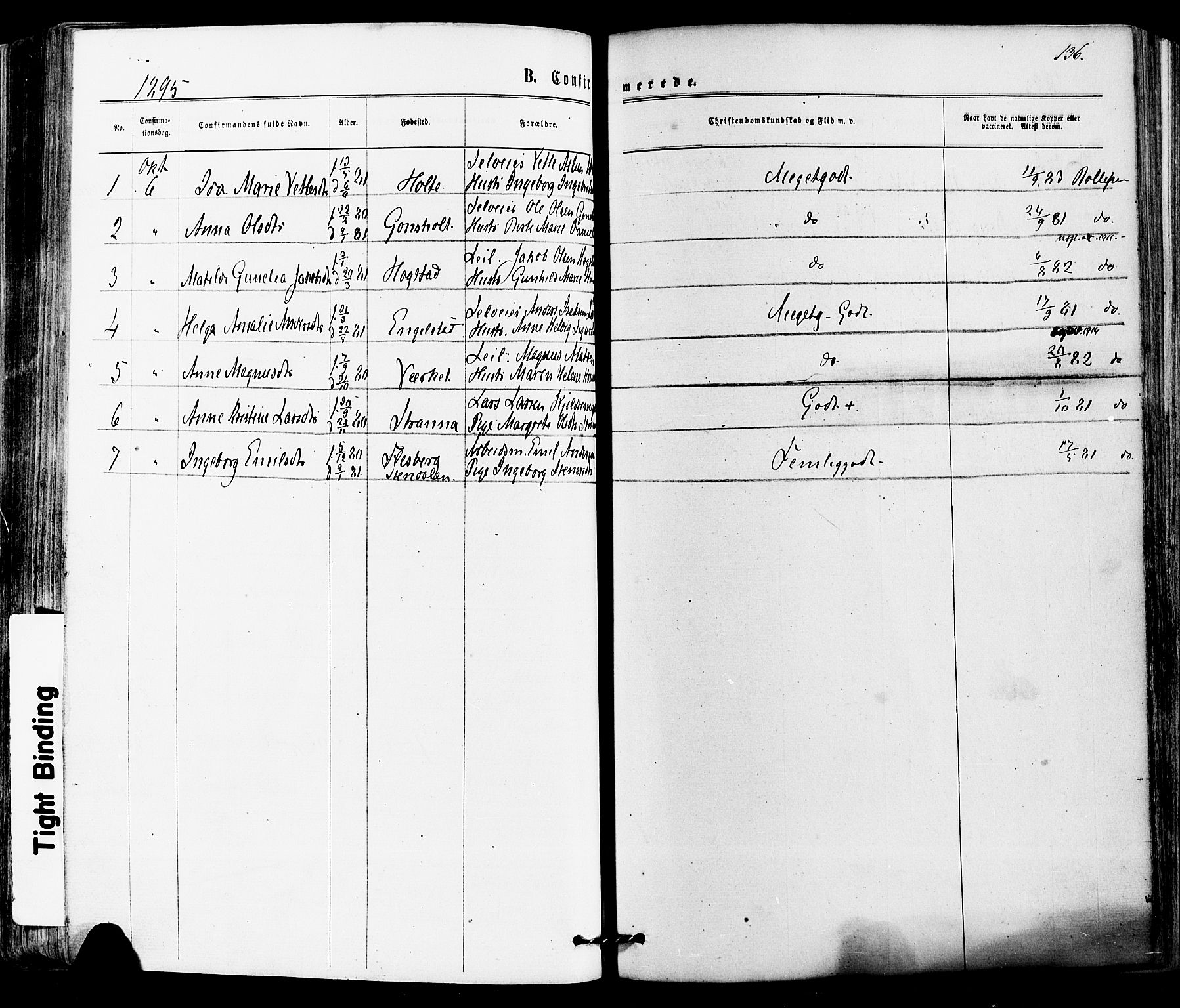 Siljan kirkebøker, AV/SAKO-A-300/F/Fa/L0002: Parish register (official) no. 2, 1870-1895, p. 136