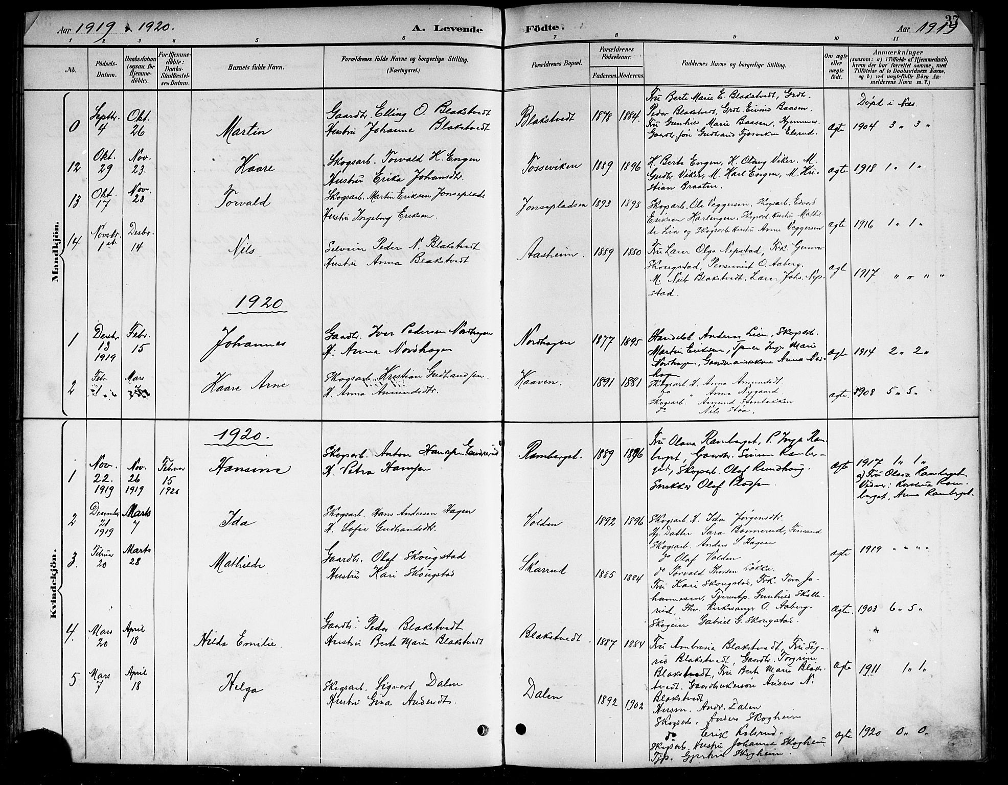 Ådal kirkebøker, SAKO/A-248/G/Ga/L0004: Parish register (copy) no.  I 4, 1891-1920, p. 37