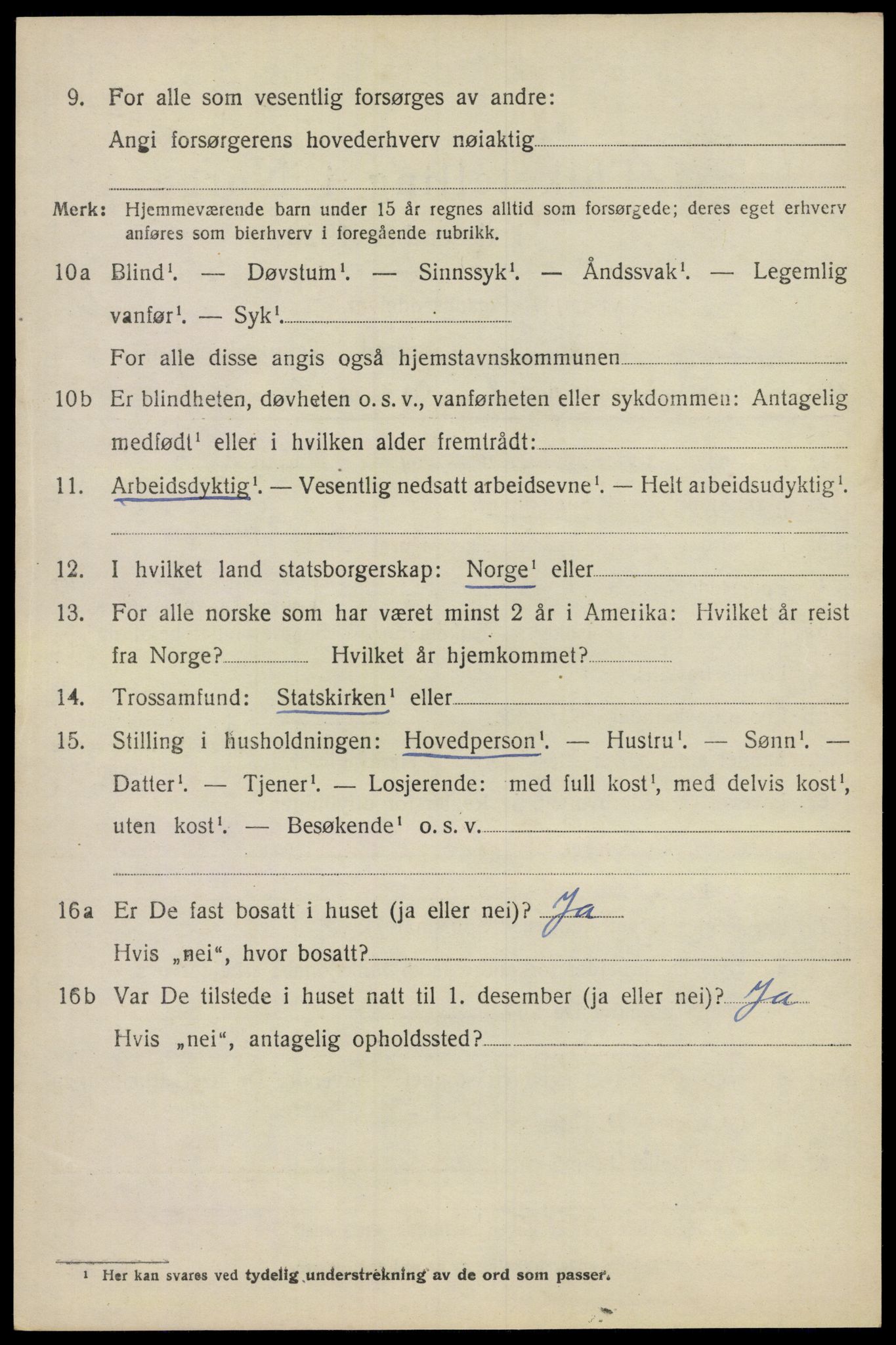 SAO, 1920 census for Nes, 1920, p. 13425