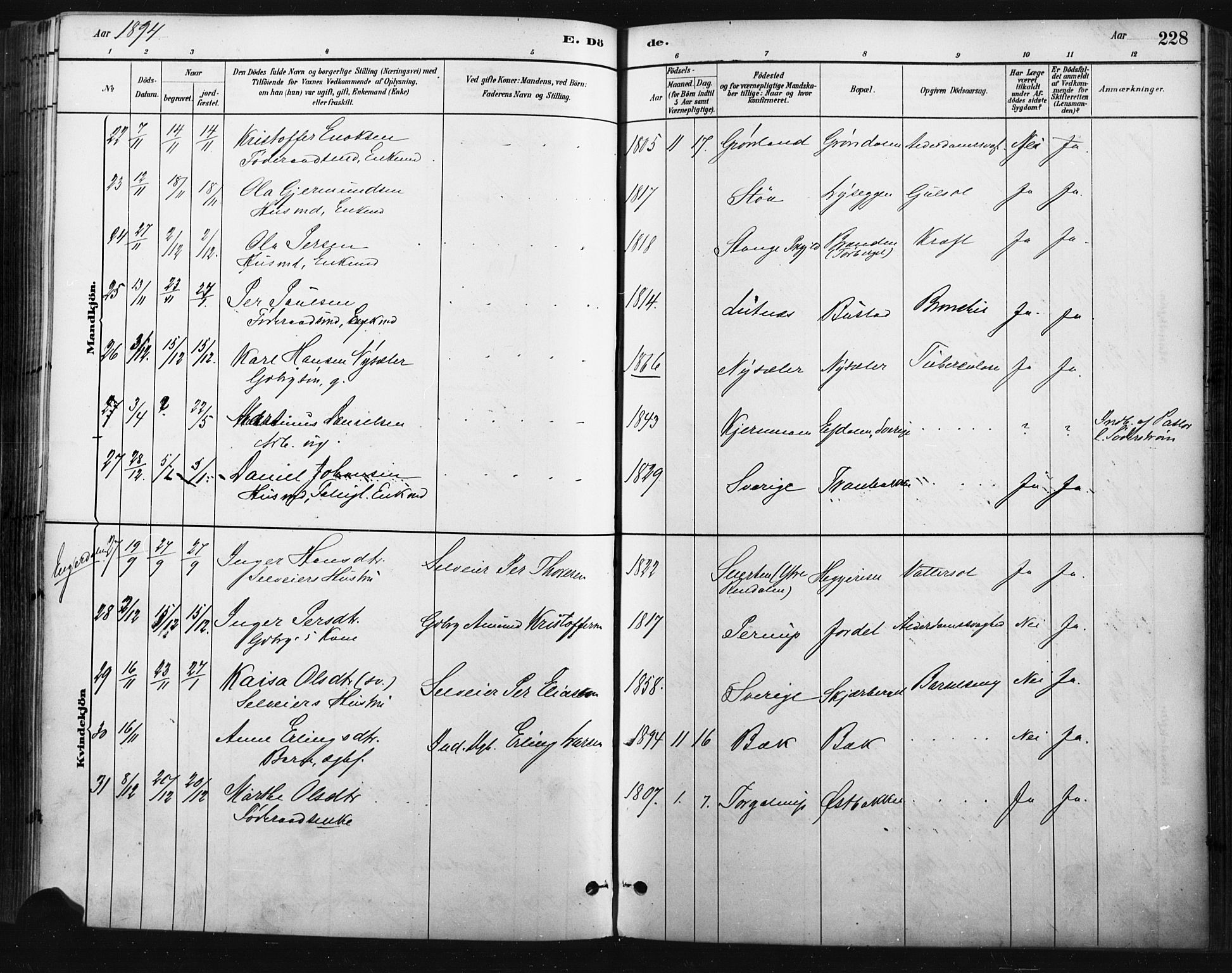 Trysil prestekontor, AV/SAH-PREST-046/H/Ha/Haa/L0009: Parish register (official) no. 9, 1881-1897, p. 228