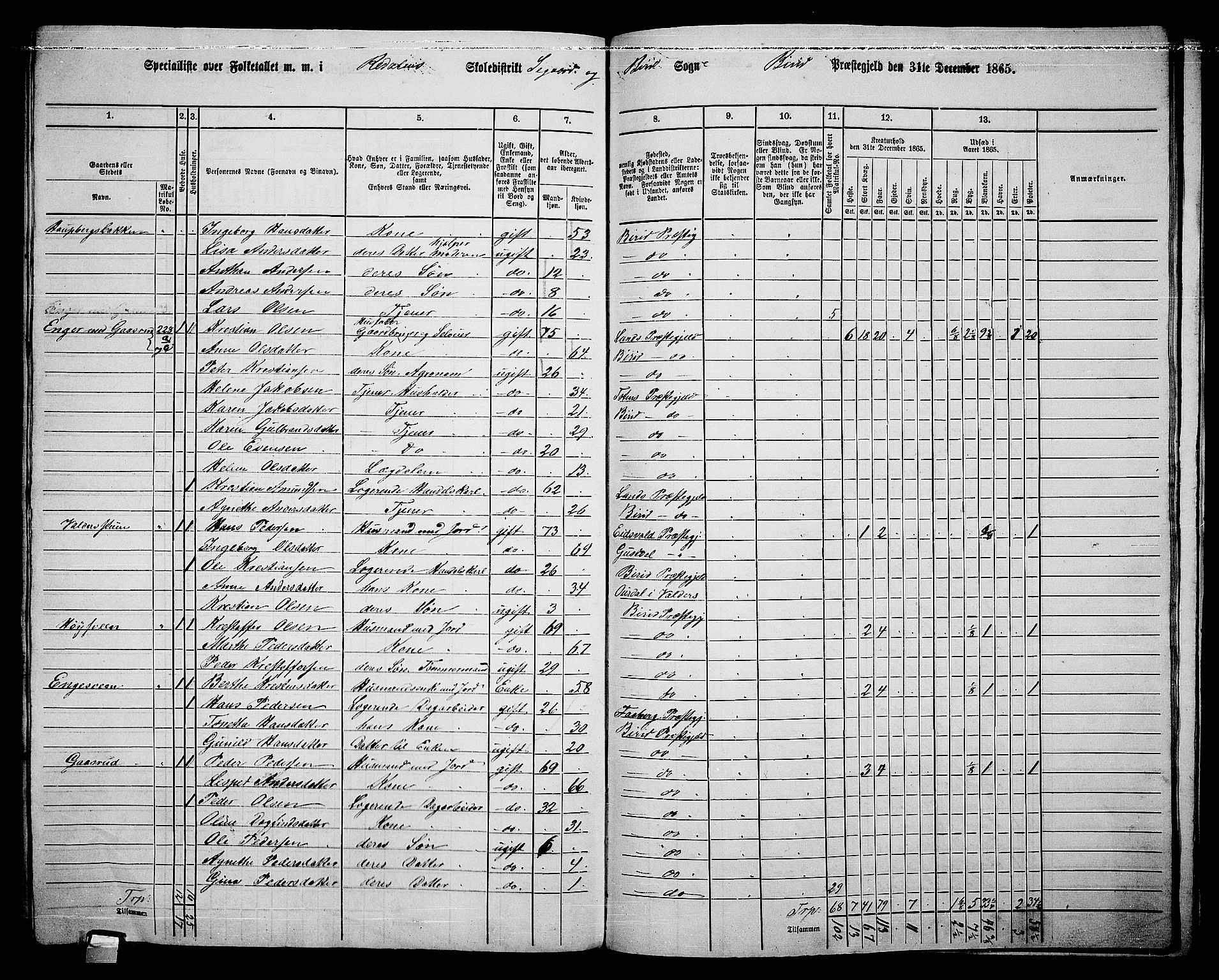 RA, 1865 census for Biri, 1865, p. 201